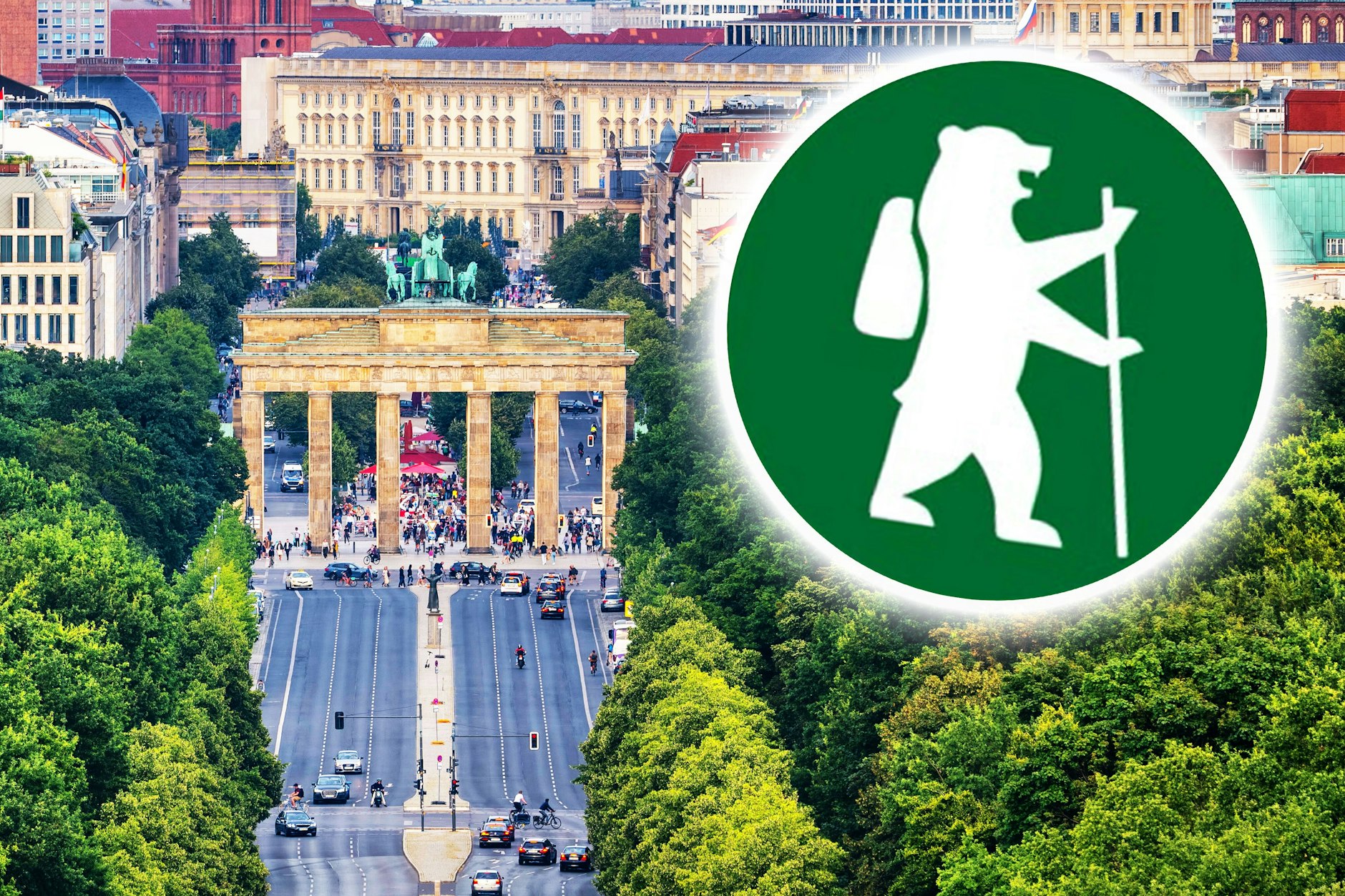 Ein weißer Bär auf grünem Grund- was hat das zu bedeuten? Und warum hat der Bär einen Rücksack auf? Überall in Berlin tauchen gerade solche Schilder auf.