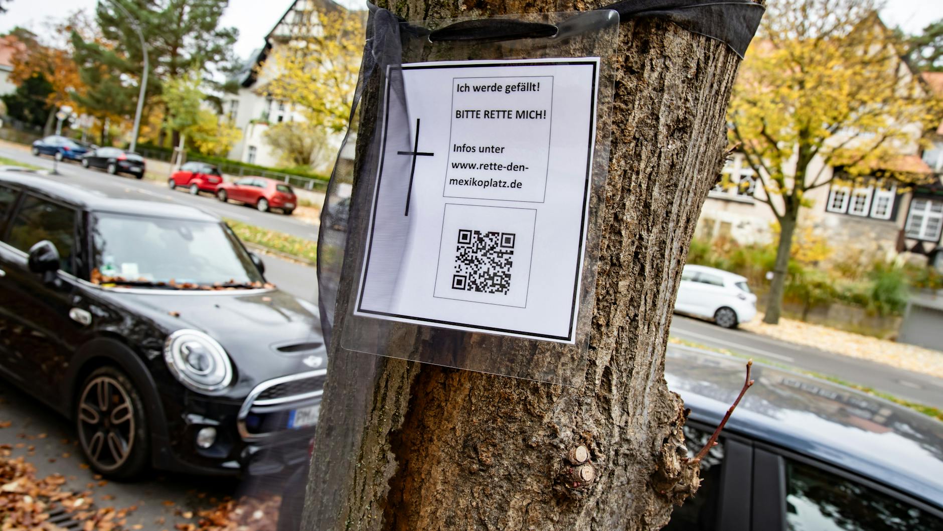 Einer der Todgeweihten: Mitglieder der Anwohner-Initiative „Rettet den Mexikoplatz“ haben auf einem zu fällenden Baum in der Lindenthaler Allee ein Protestplakat befestigt. Insgesamt sollen 176 Bäume der U3-Erweiterung zum Mexikoplatz weichen.