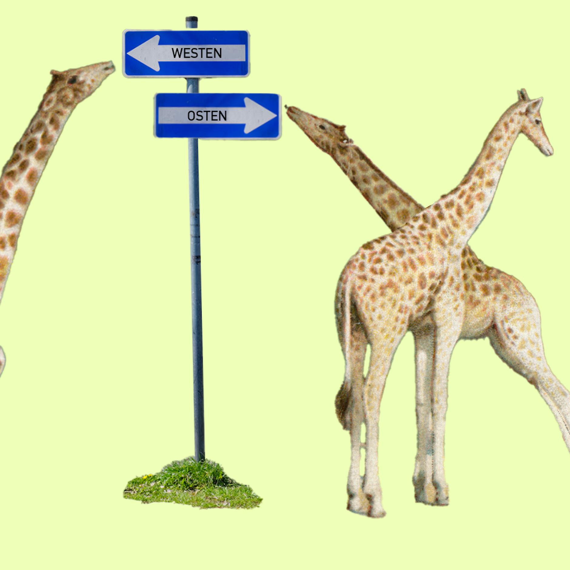 Image - Doppelt gemoppelt: Diese Berliner Institutionen gibt es in Ost und West