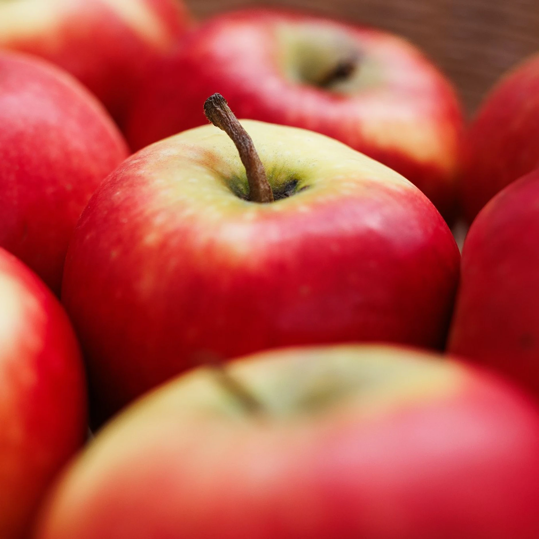 Eine speziell für Allergiker entwickelte Apfelsorte soll ab September in deutschen Supermärkten zu kaufen sein.