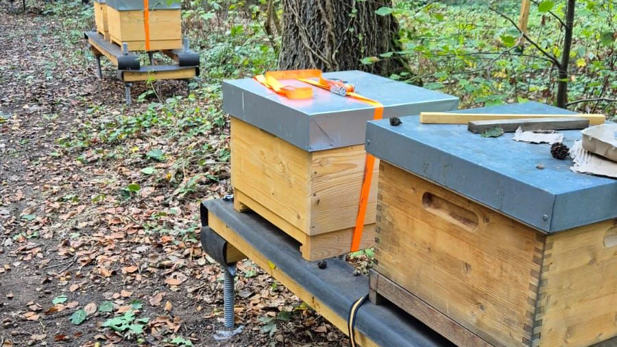 Diese Bienenkästen wurden im Tegeler Forst gestohlen.