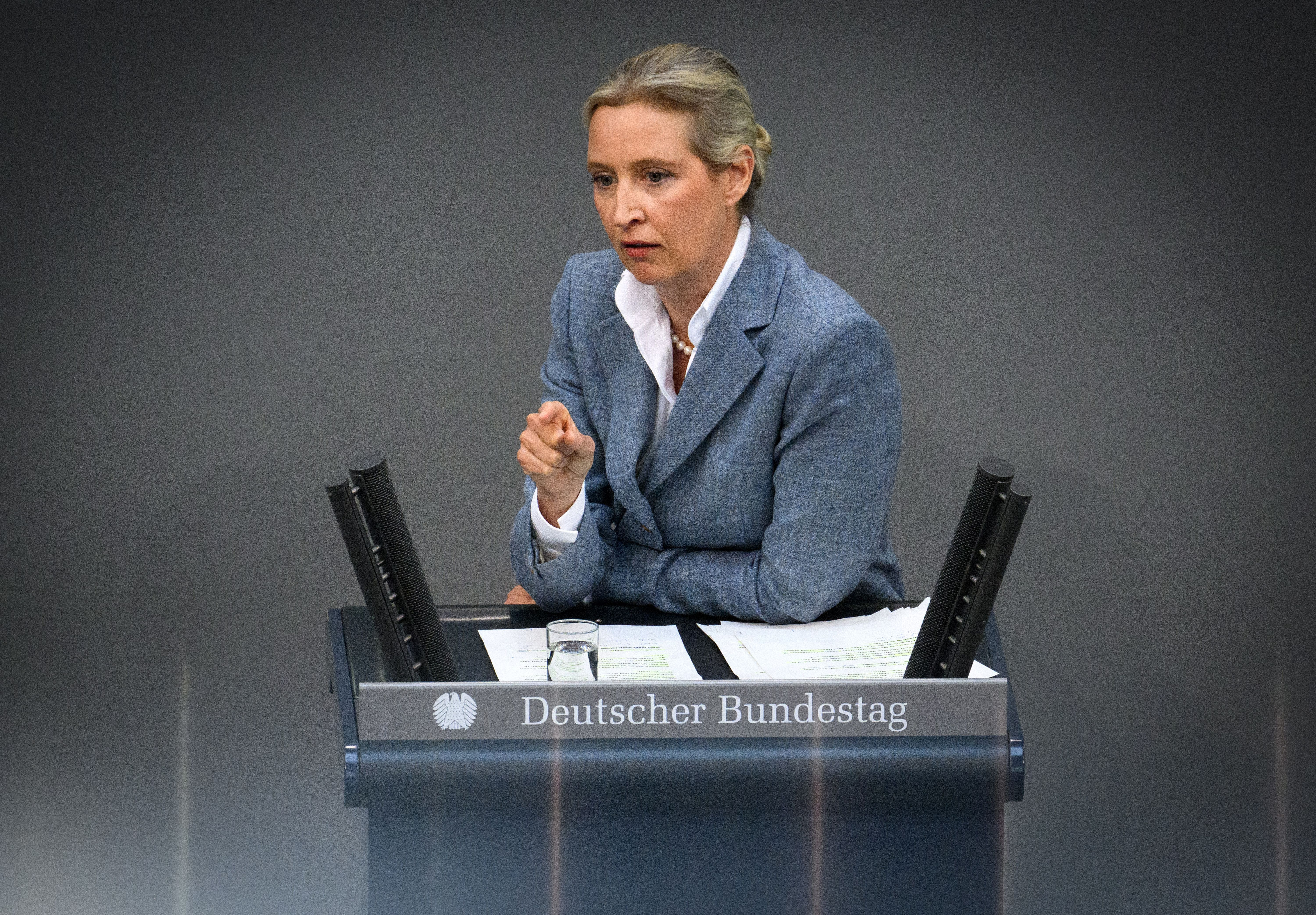 Wahlrecht wegen Volksverhetzung entziehen? Alice Weidel kritisiert Friedrich Merz