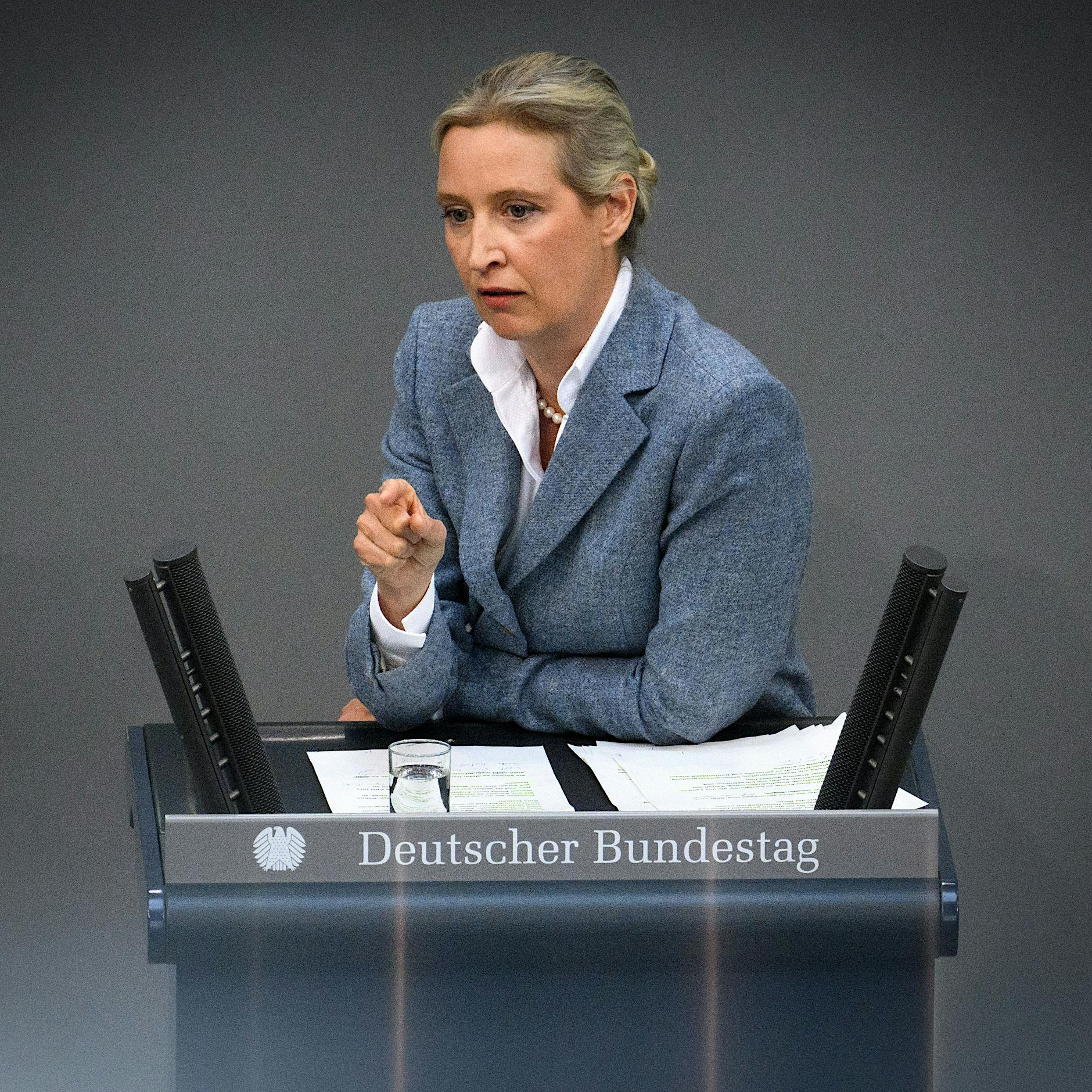 Wahlrecht wegen Volksverhetzung entziehen? Alice Weidel kritisiert Friedrich Merz