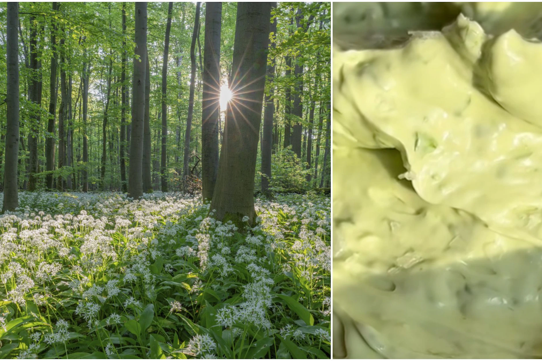 Die weiche Butter wird mit dem Handmixer mehrere Minuten aufgeschlagen, bis sie hell, cremig und luftig ist – so entsteht die besonders zarte, streichfähige Konsistenz.