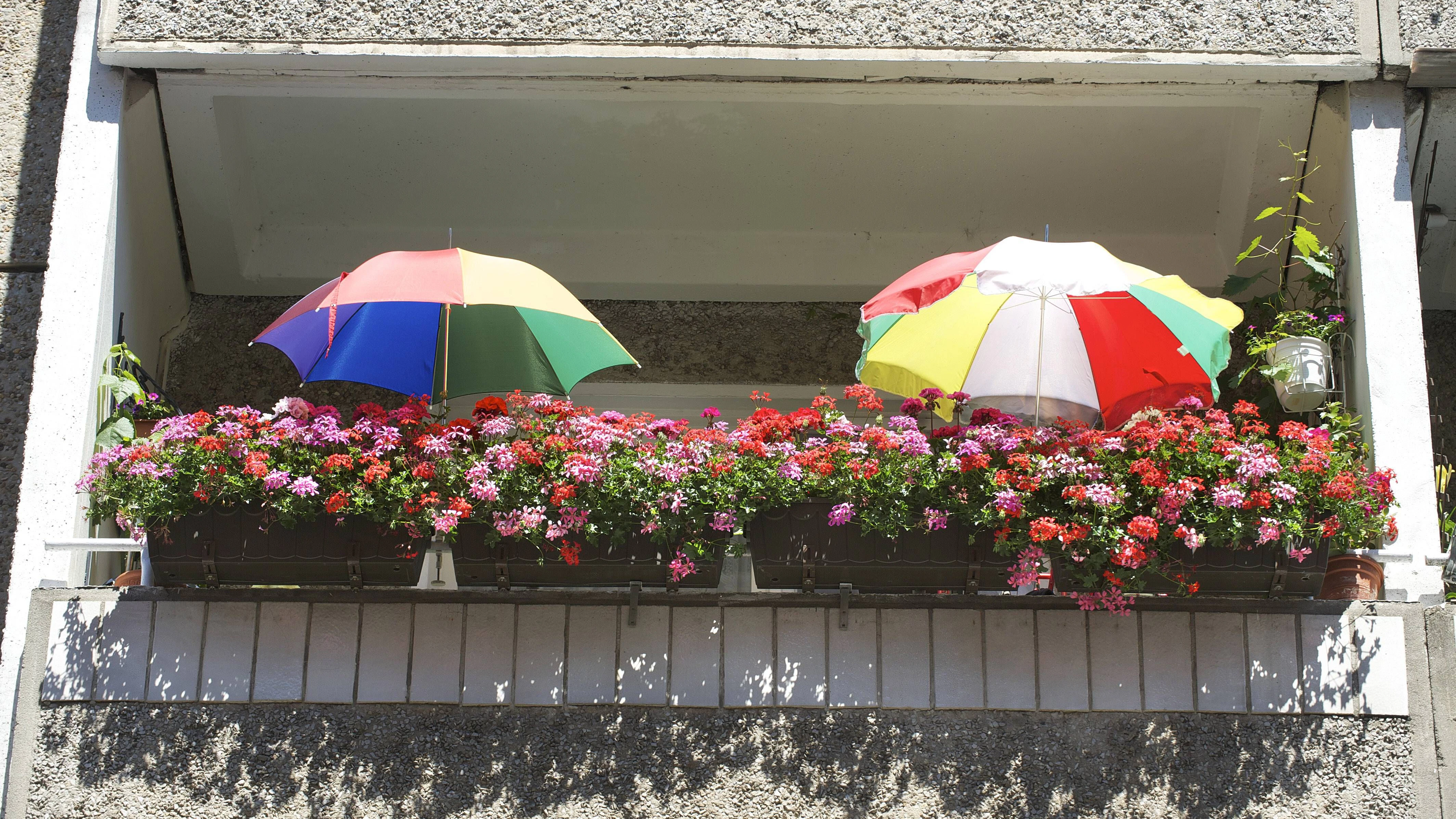 Blumenkästen am Balkon sind in Berlin nicht immer erlaubt. 