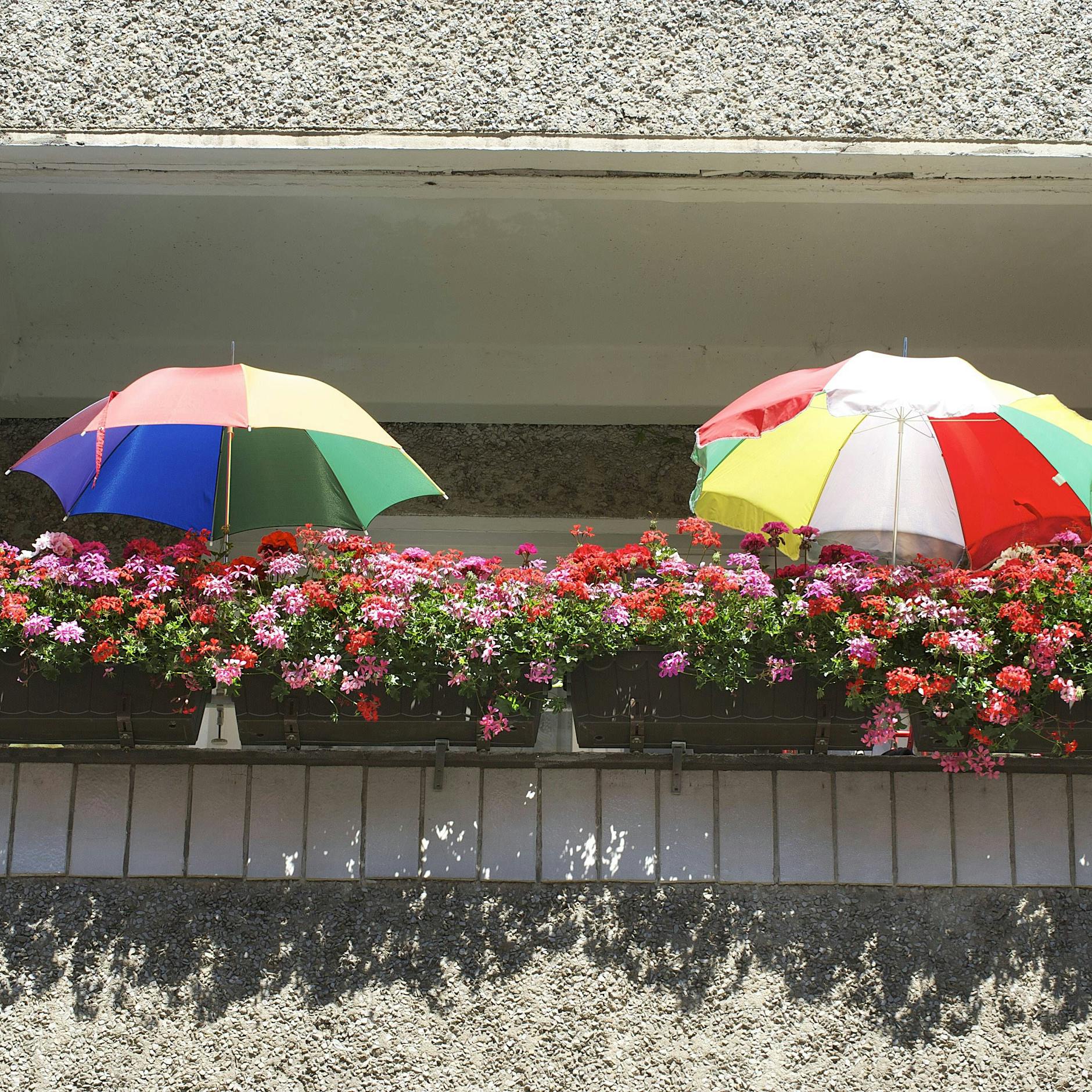 Gewusst? Blumenkästen am Balkon in Berlin verboten! DAS ist der Grund