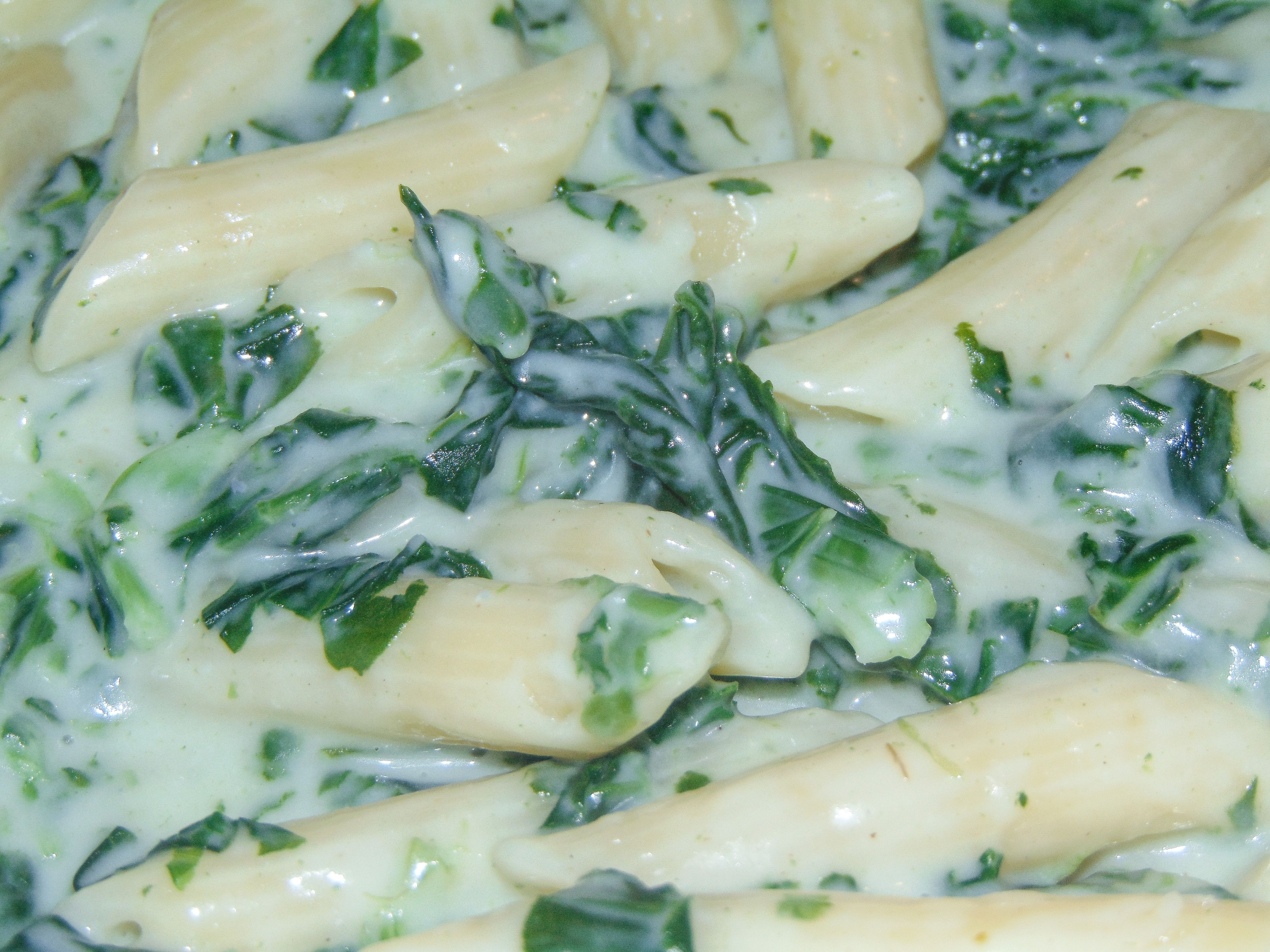 Herrlich cremig und würzig! Rezept für Pasta mit Gorgonzola-Spinat-Soße