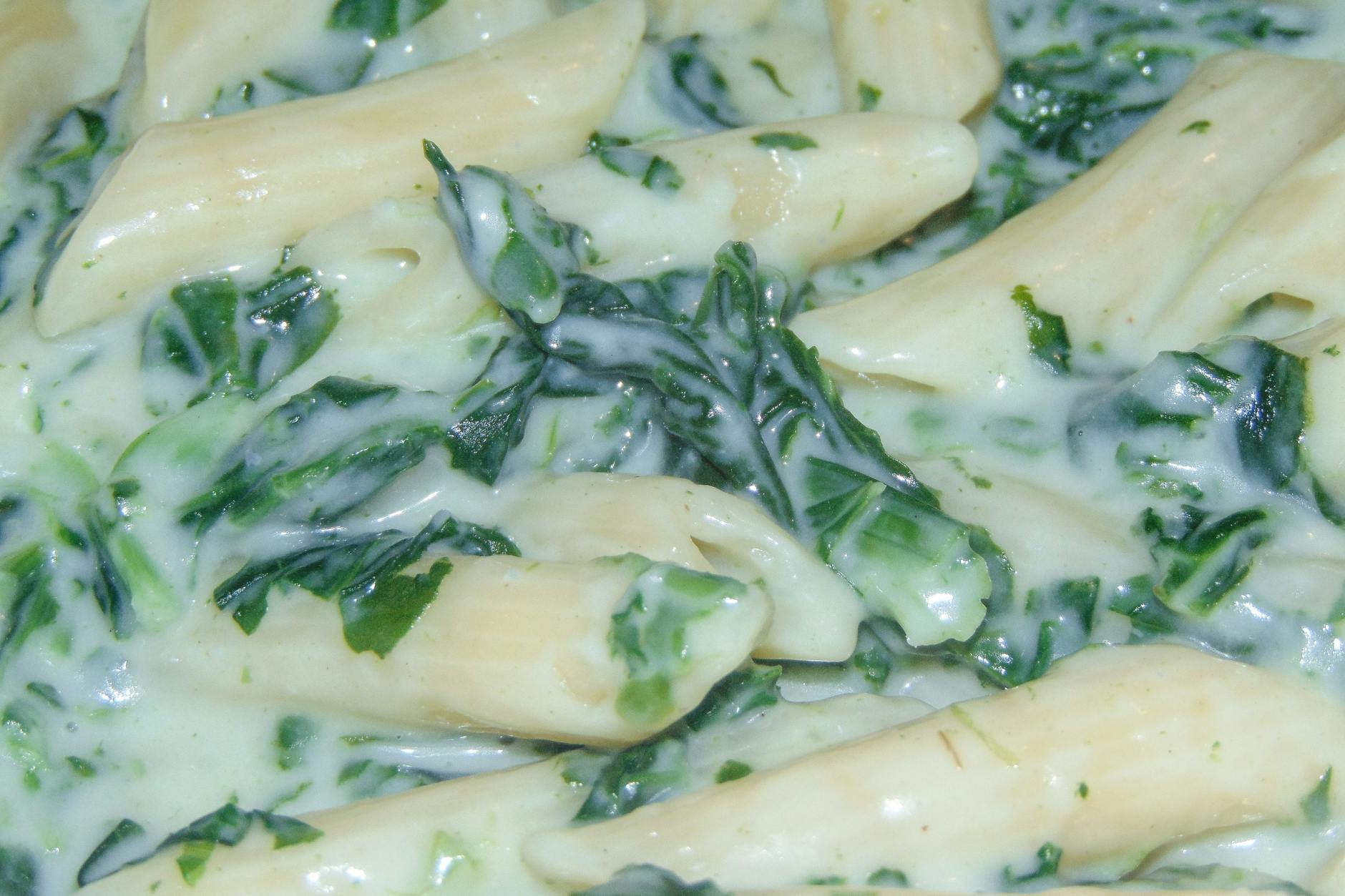 So cremig und würzig! Pasta mit Gorgonzola-Spinat-Soße ist ein Genuss!