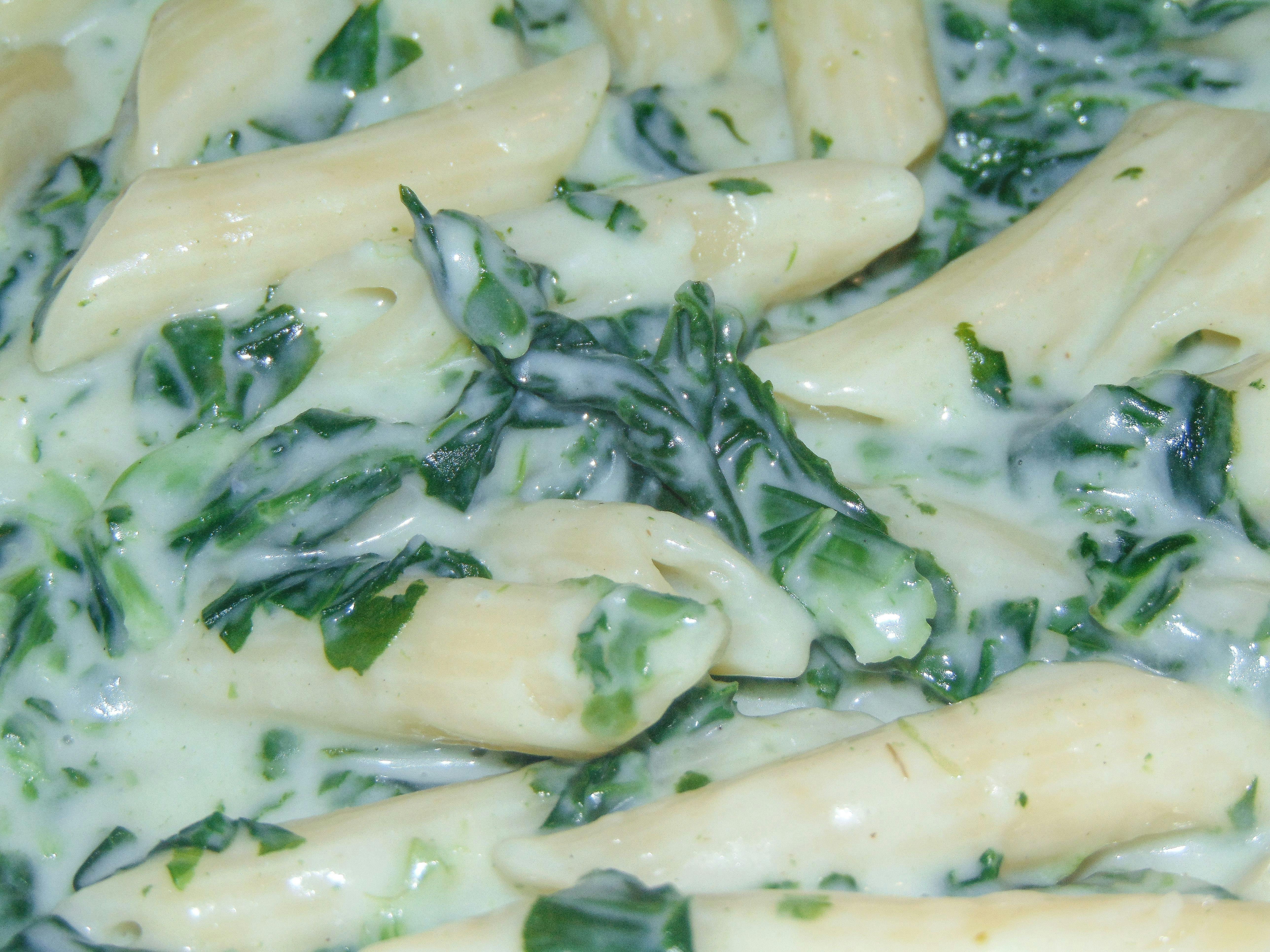 Herrlich cremig und würzig! Rezept für Pasta mit Gorgonzola-Spinat-Soße