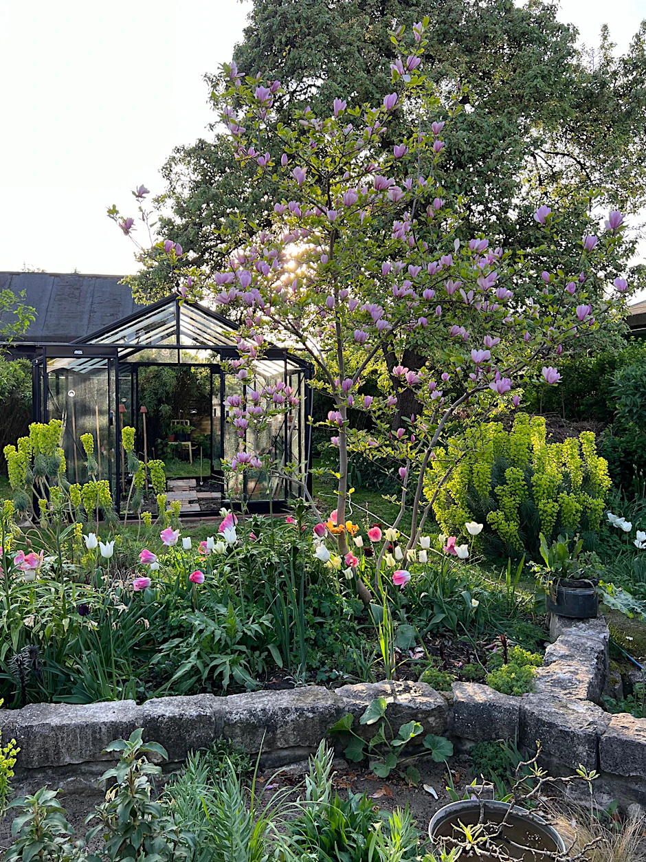 Blühendes Paradies in Charlottenburg: der Schrebergarten von Horst Mager