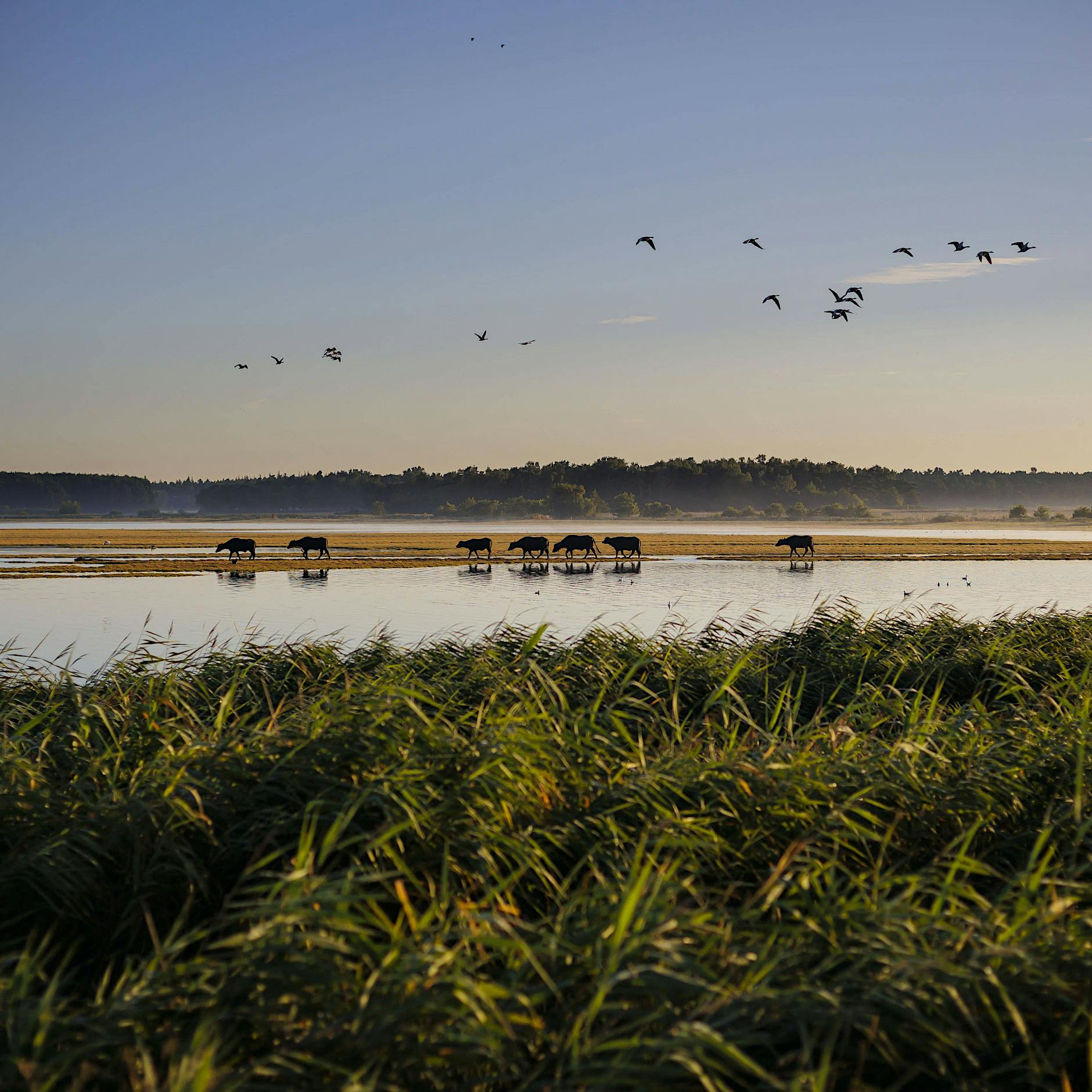 Ausbeutung ohne Grenzen: Wie Investoren auf Fischland-Darß-Zingst ihr Unwesen treiben