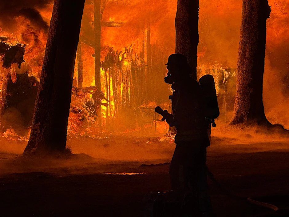 Feuerwehrleute riskieren bei Einsätzen häufig Leib und Leben. Doch was veranlasst manche Feuerwehrleute, selbst zu Brandstiftern zu werden?