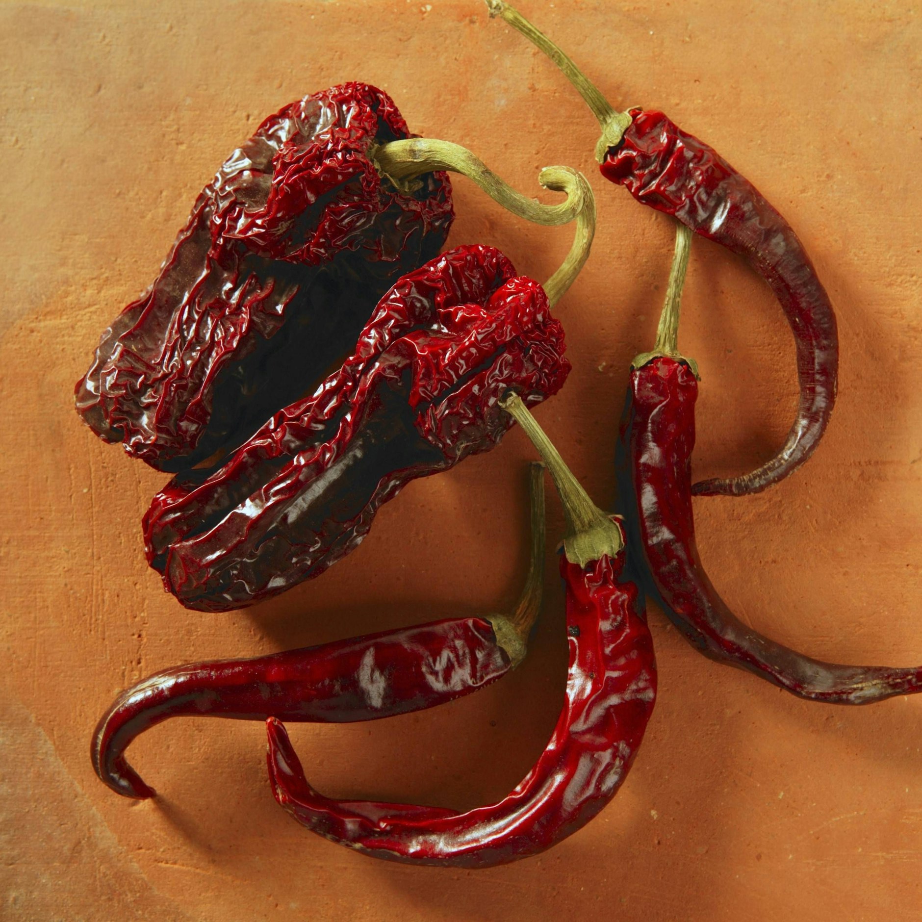 Ein Sud aus Chilischoten soll Blattläuse vertreiben - das Rezept ist sehr einfach und setzt auf natürliche Inhaltsstoffe statt auf Chemie.