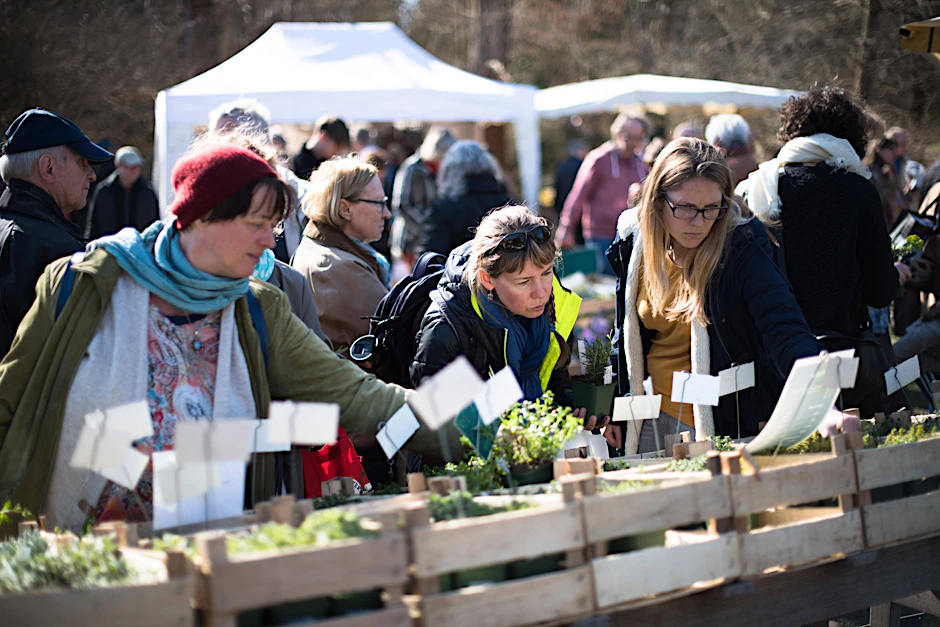 Frühling, Sonnenschein, blauer Himmel und ein sehr gut besuchter Staudenmarkt im Berliner Botanischen Garten.