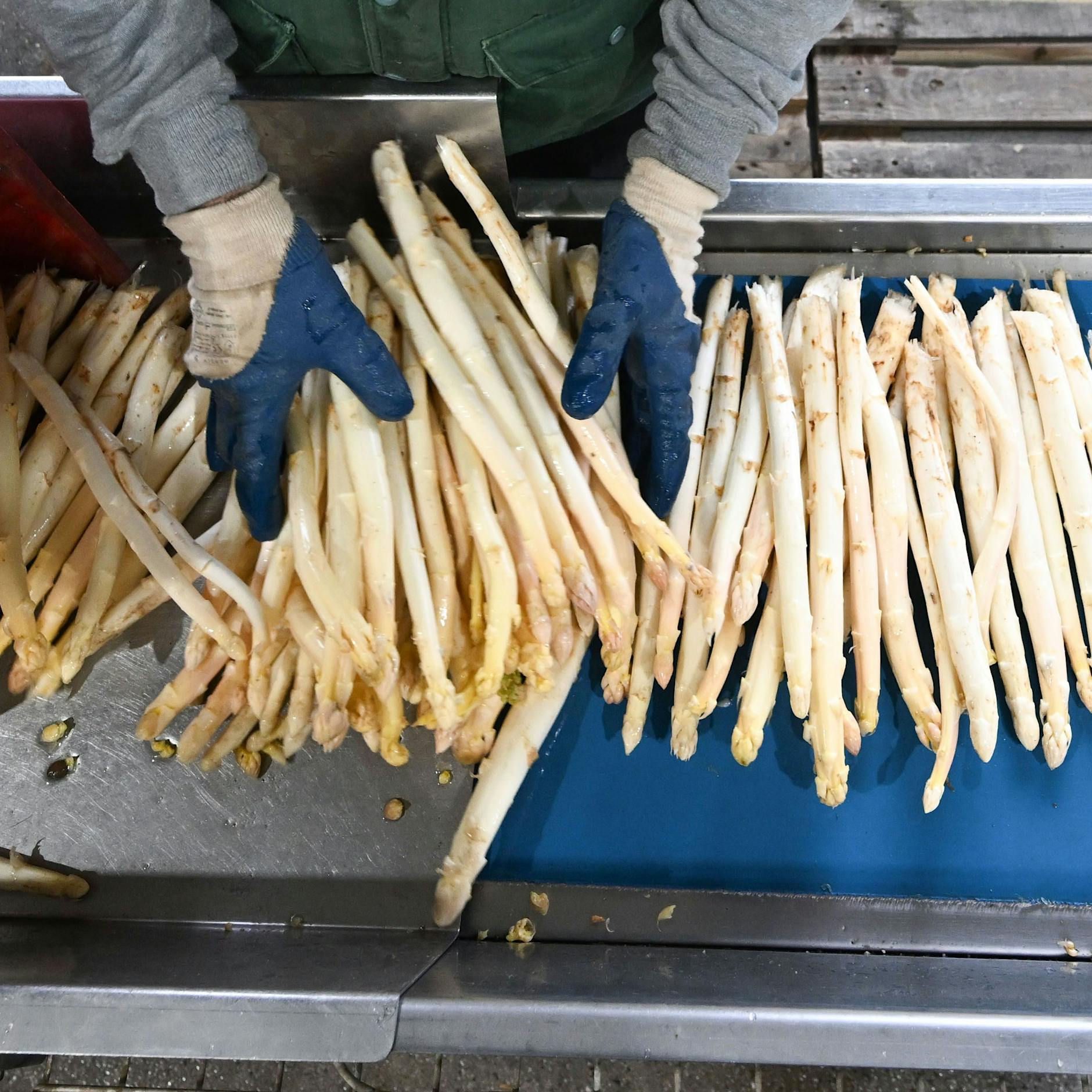 Die ersten Preise sind da! DAS kostet ein Kilo Spargel dieses Jahr