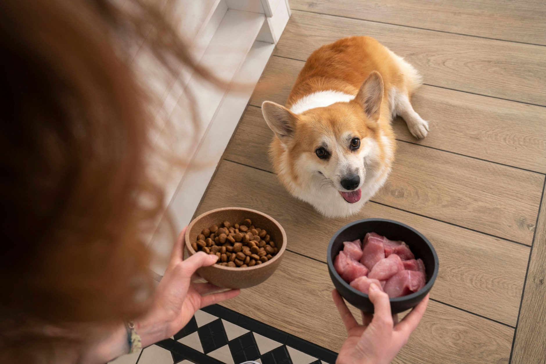 Was kommt in den veganen Napf?
