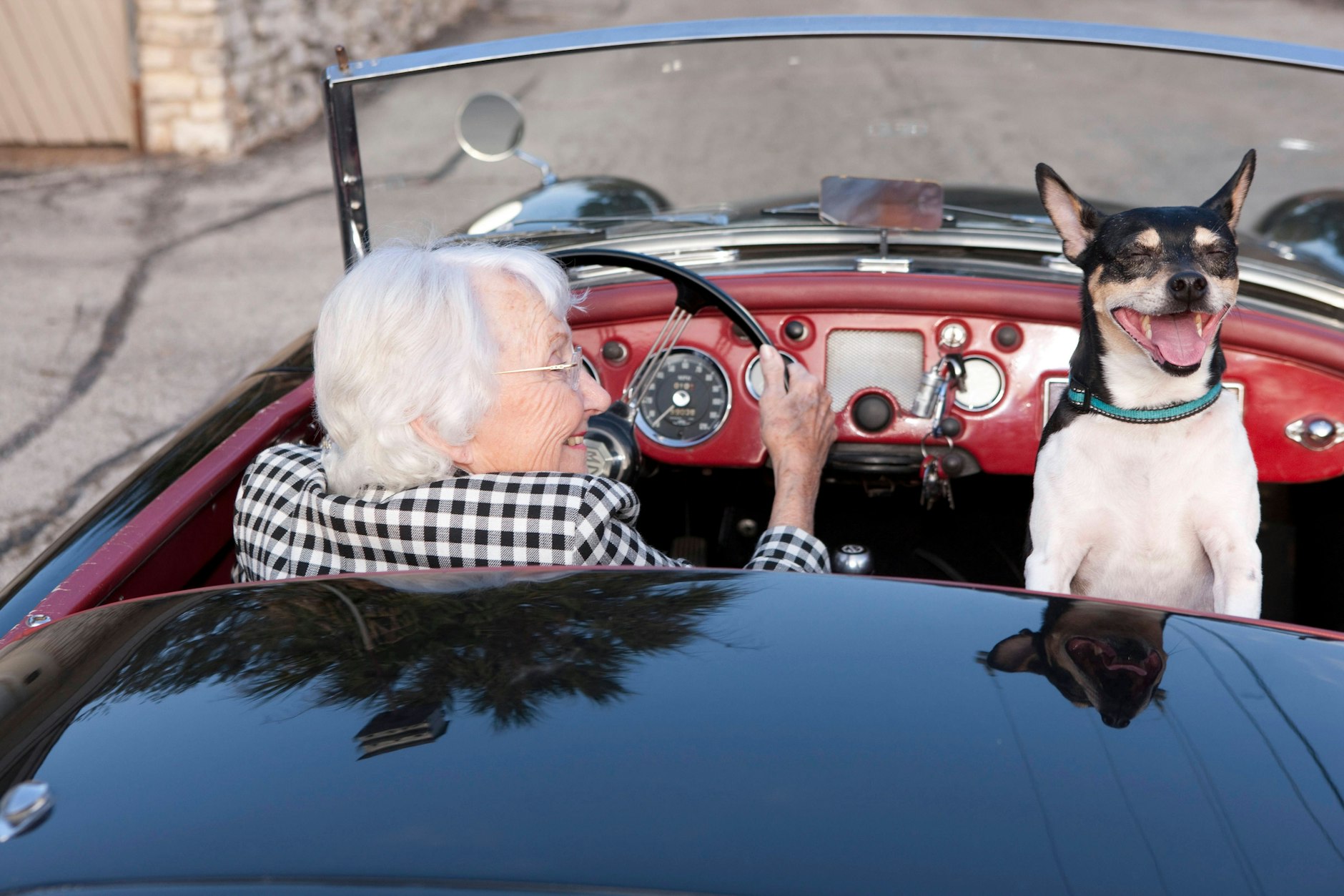 Einen Führerschein fürs Auto hat die Dame. Aber hat sie auch einen Führerschein für den Hund?