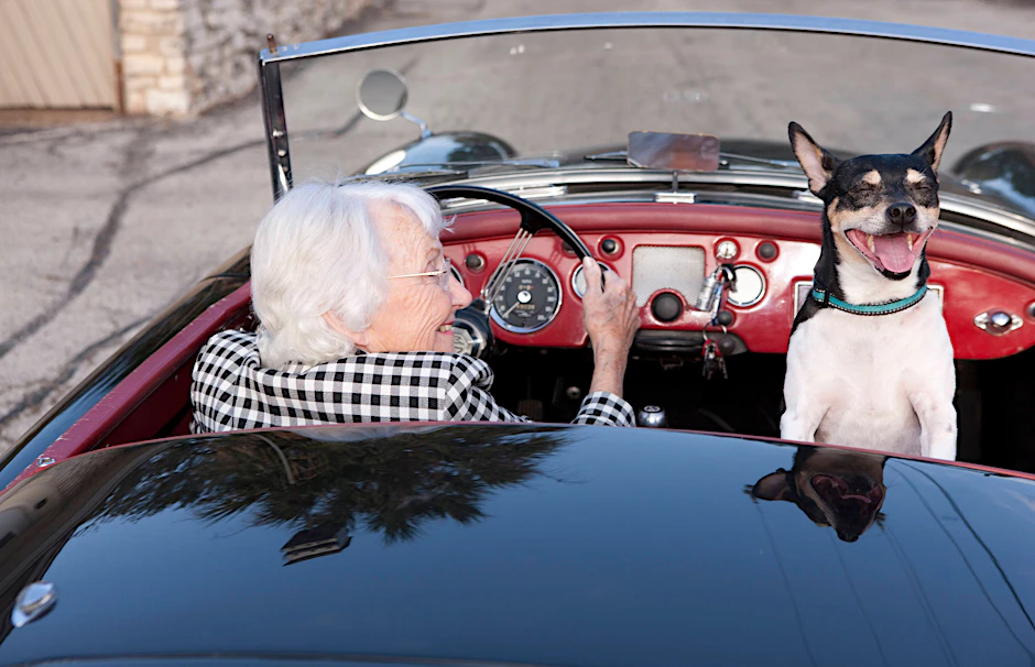 Einen Führerschein fürs Auto hat die Dame. Aber hat sie auch einen Führerschein für den Hund?
