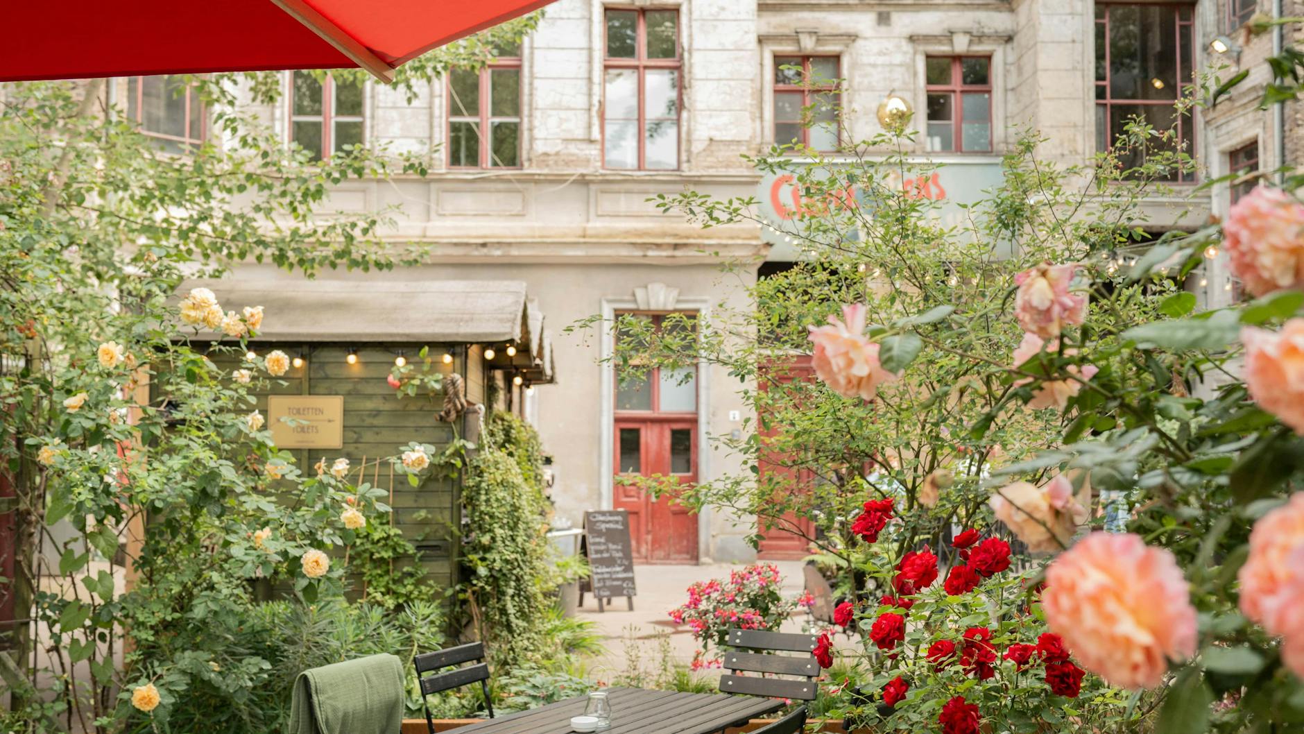 Clärchens Ballhaus mit Rosen, wo bis in die 1960er Jahre eine Ruine stand.