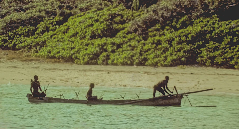 North Sentinel Island – ein Ort, den man besser nicht besucht. Doch genau das tat der 24-jährige Mykhailo Viktorovych Polyakov – und brachte sich damit in Lebensgefahr.