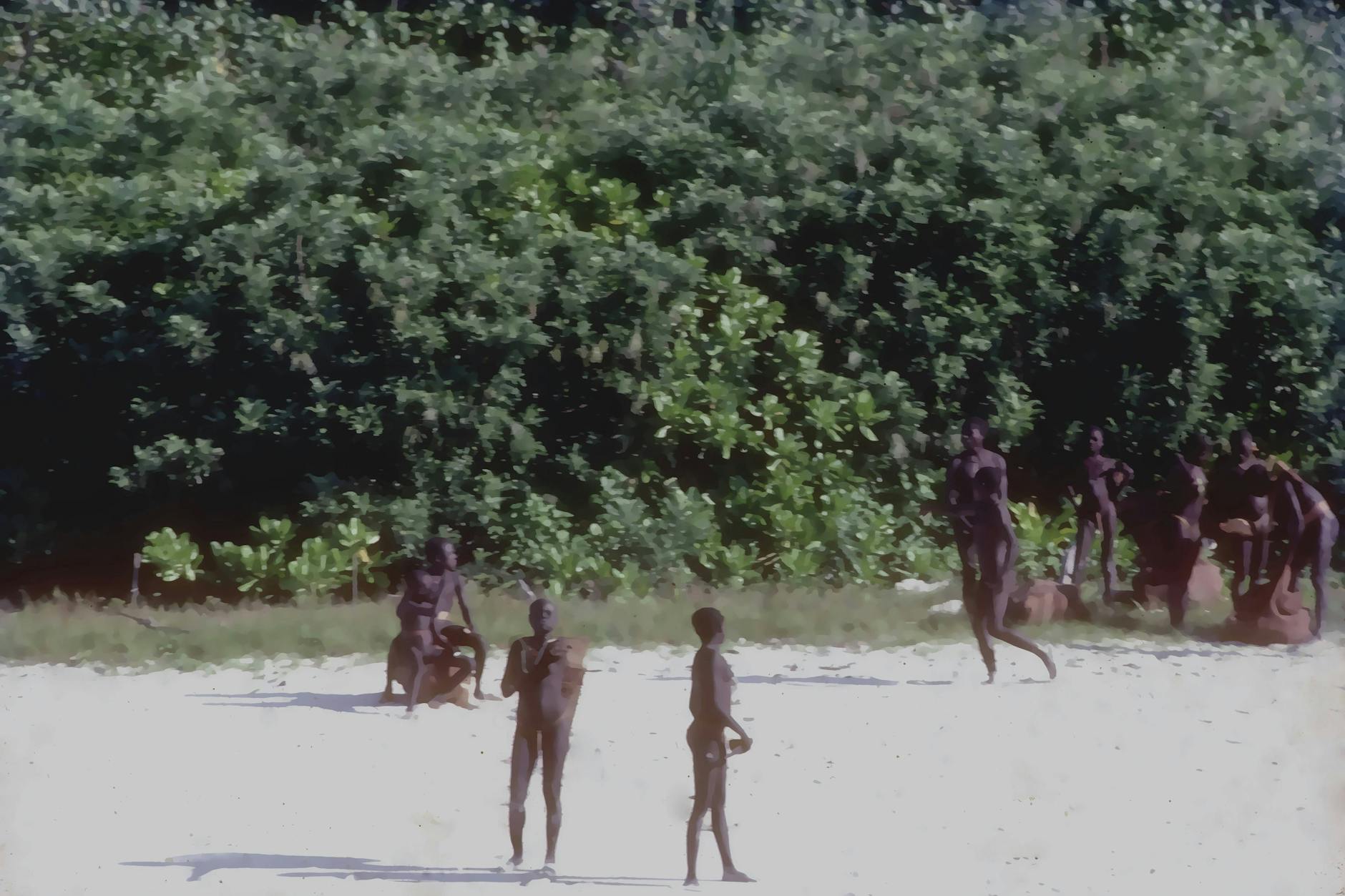 Nördliche Sentinelese Insel.