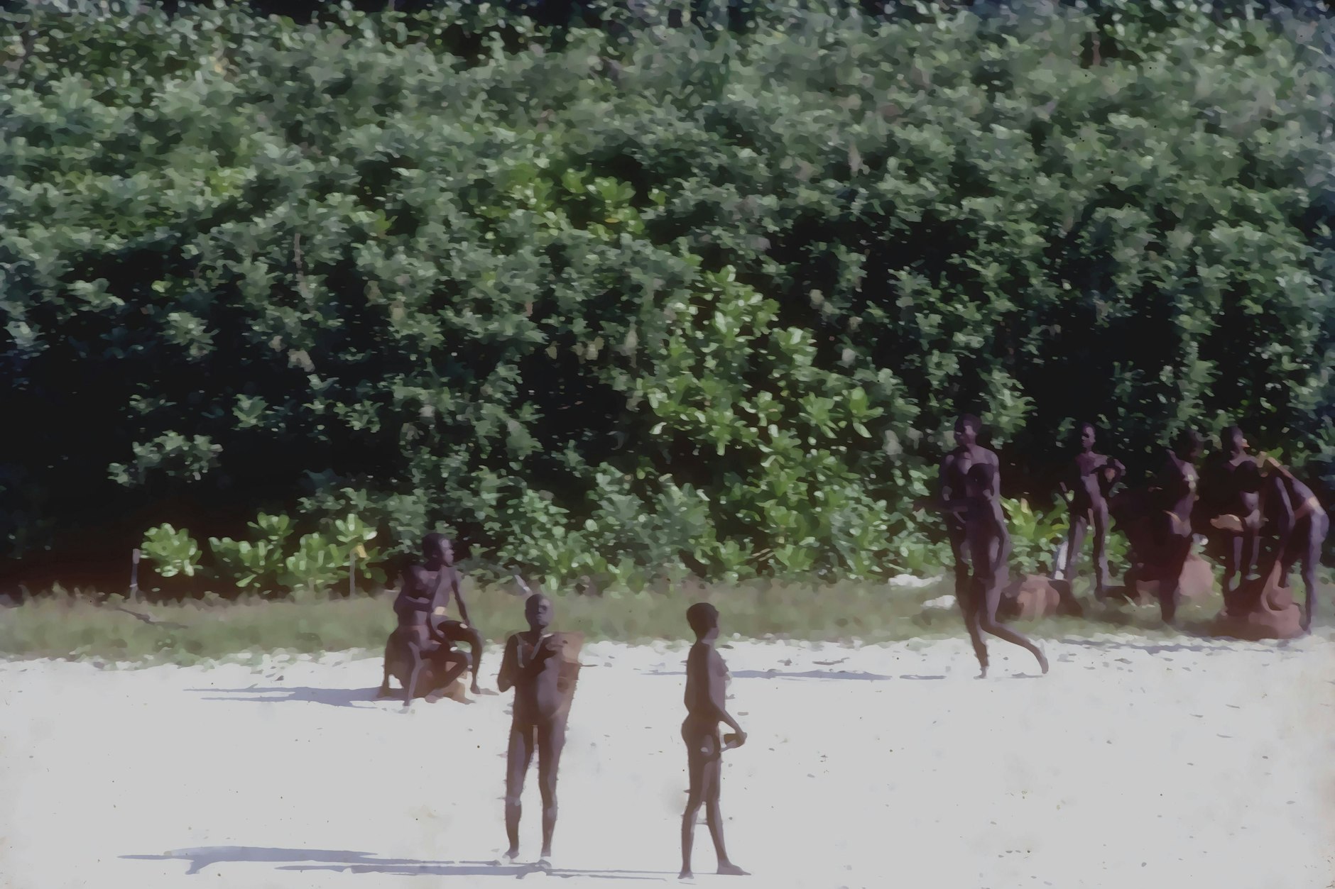 Nördliche Sentinelese Insel.