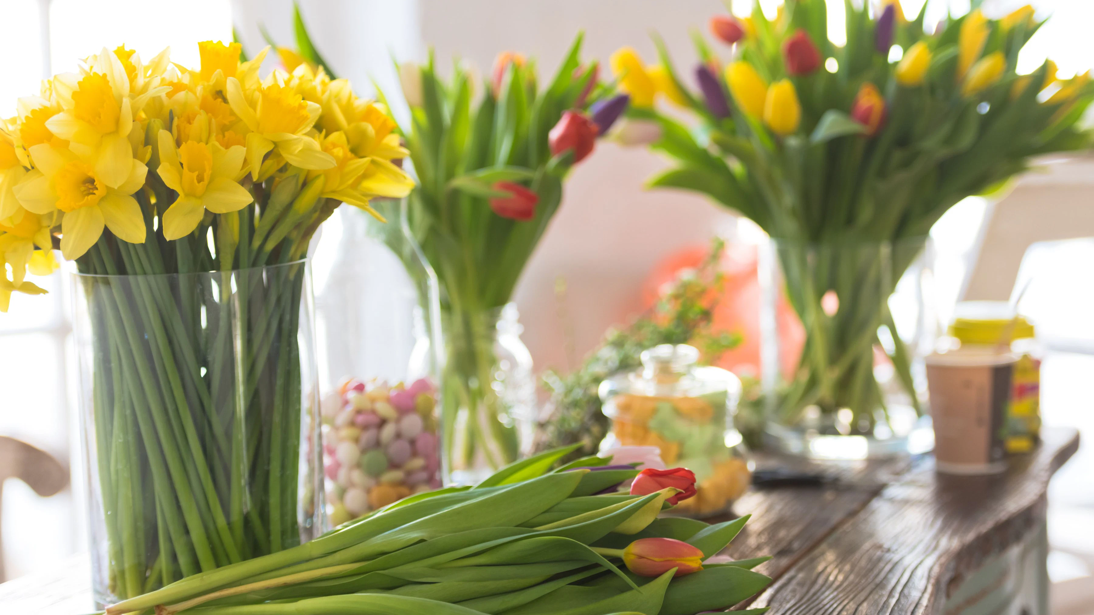 Um einen Blumenkrieg zwischen Tulpen und Narzissen zu vermeiden, sollten Sie beide Blumen nicht zusammen in eine Vase stellen.