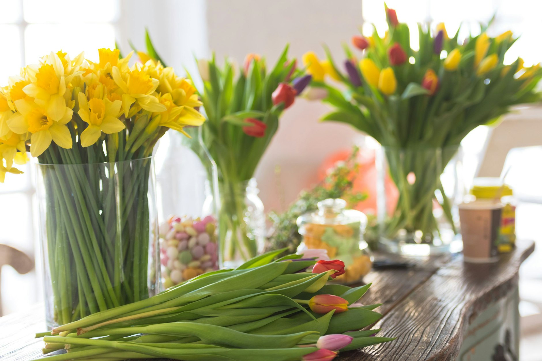 Um einen Blumenkrieg zwischen Tulpen und Narzissen zu vermeiden, sollten Sie beide Blumen nicht zusammen in eine Vase stellen.