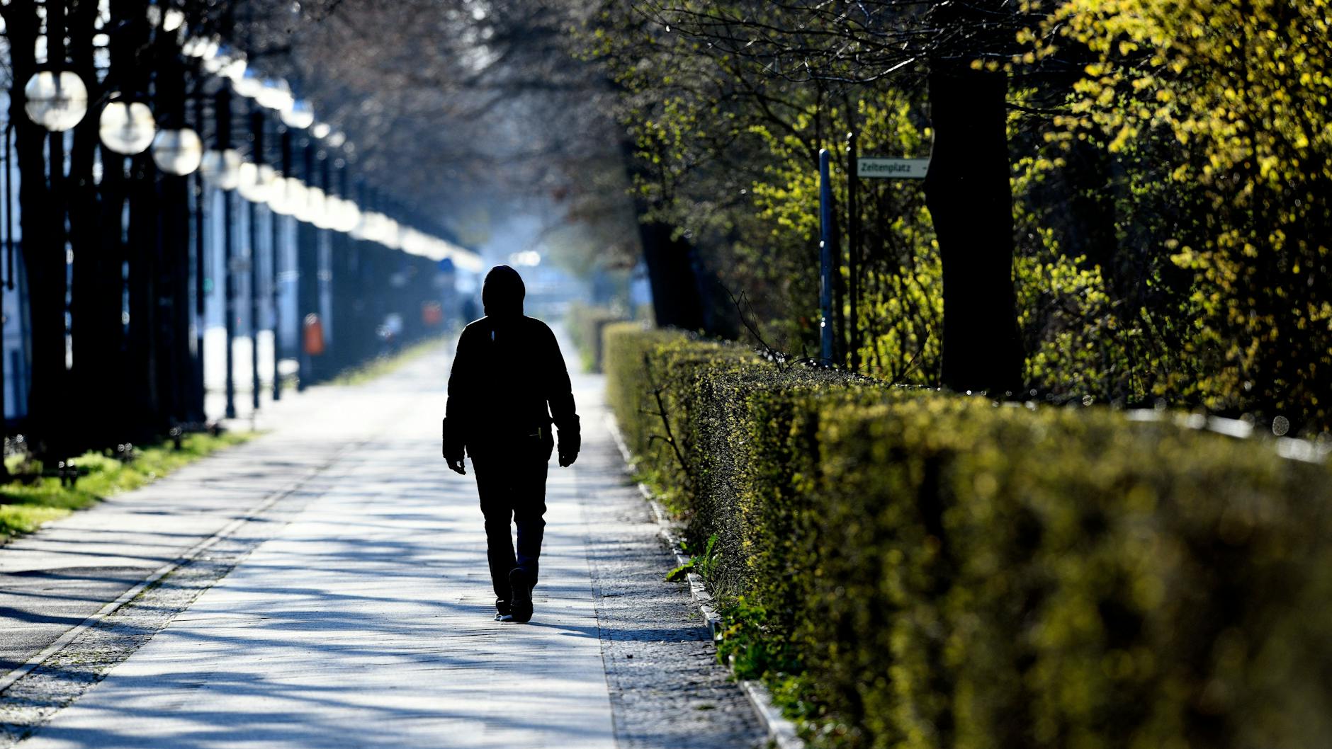 Bei einem Spaziergang im Tiergarten an einem sonnigen Sonntag kann man die Seele baumeln lassen.
