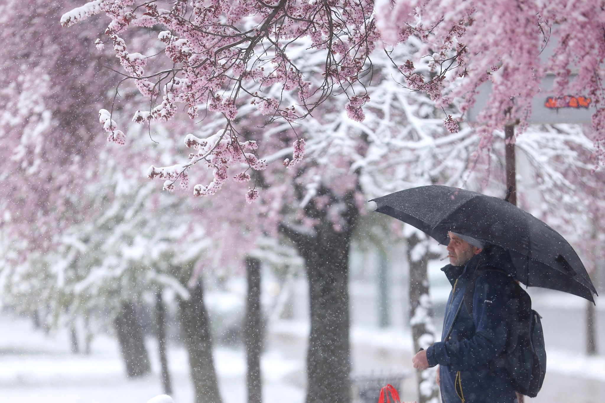 Image - Hä?! Wo ist denn das Berliner Sommerwetter hin? Sogar Schnee angesagt!