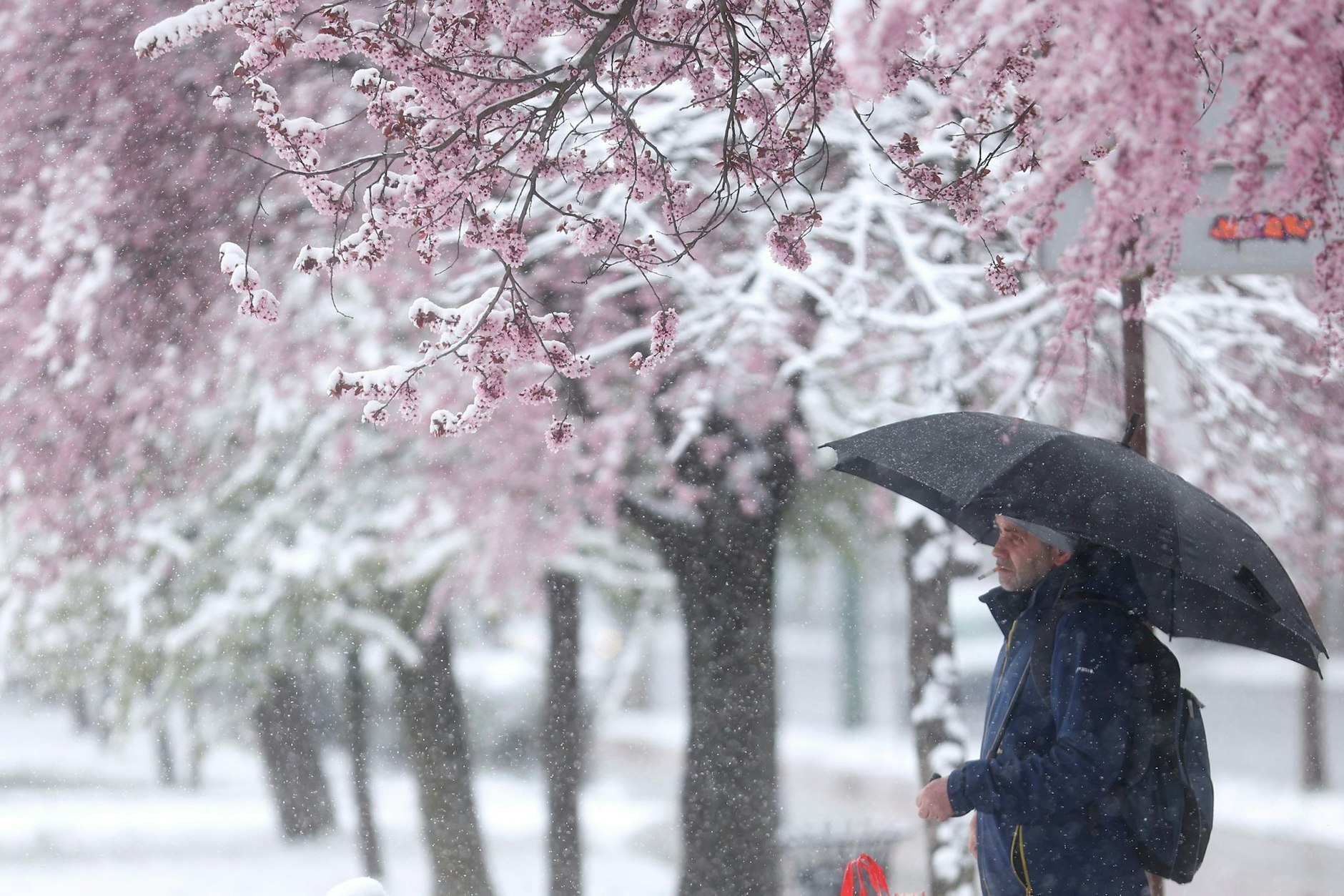 (Symbolfoto) Zum Wochenende wird es deutlich kühler in Berlin und Brandenburg. In der Uckermark kündigt der DWD ab Sonntagnacht sogar einzelne Schneeschauer an. Sonniges Wetter lädt dennoch zu Spaziergängen ein.