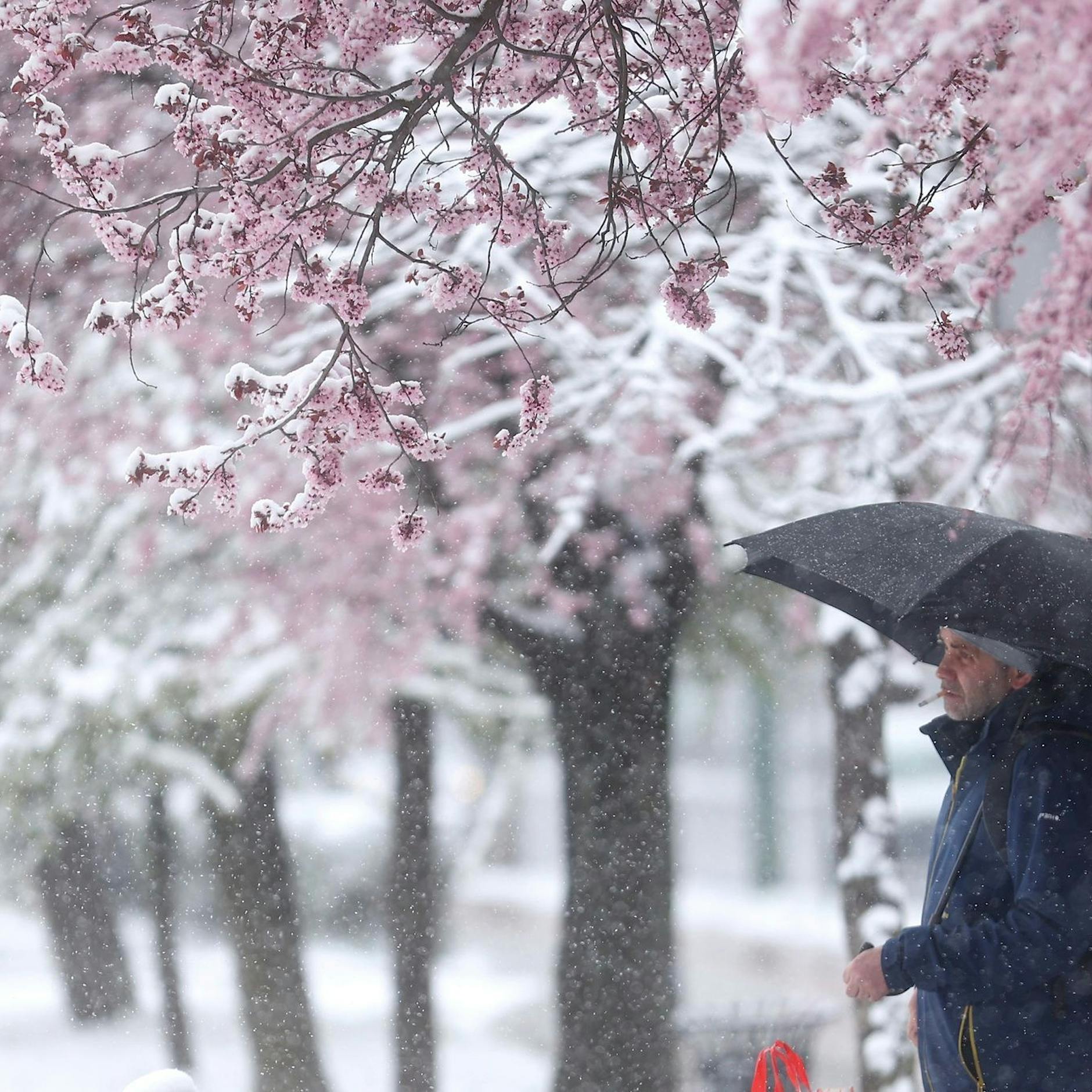 Hä?! Wo ist denn das Berliner Sommerwetter hin? Sogar Schnee angesagt!