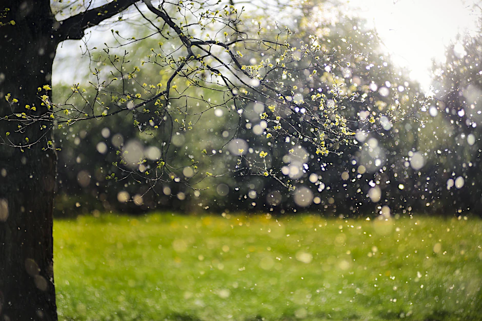 Birken- und Eschenpollen machen Allergikern derzeit besonders zu schaffen. Wer empfindlich reagiert, sollte Fenster geschlossen halten und nach dem Aufenthalt im Freien duschen.
