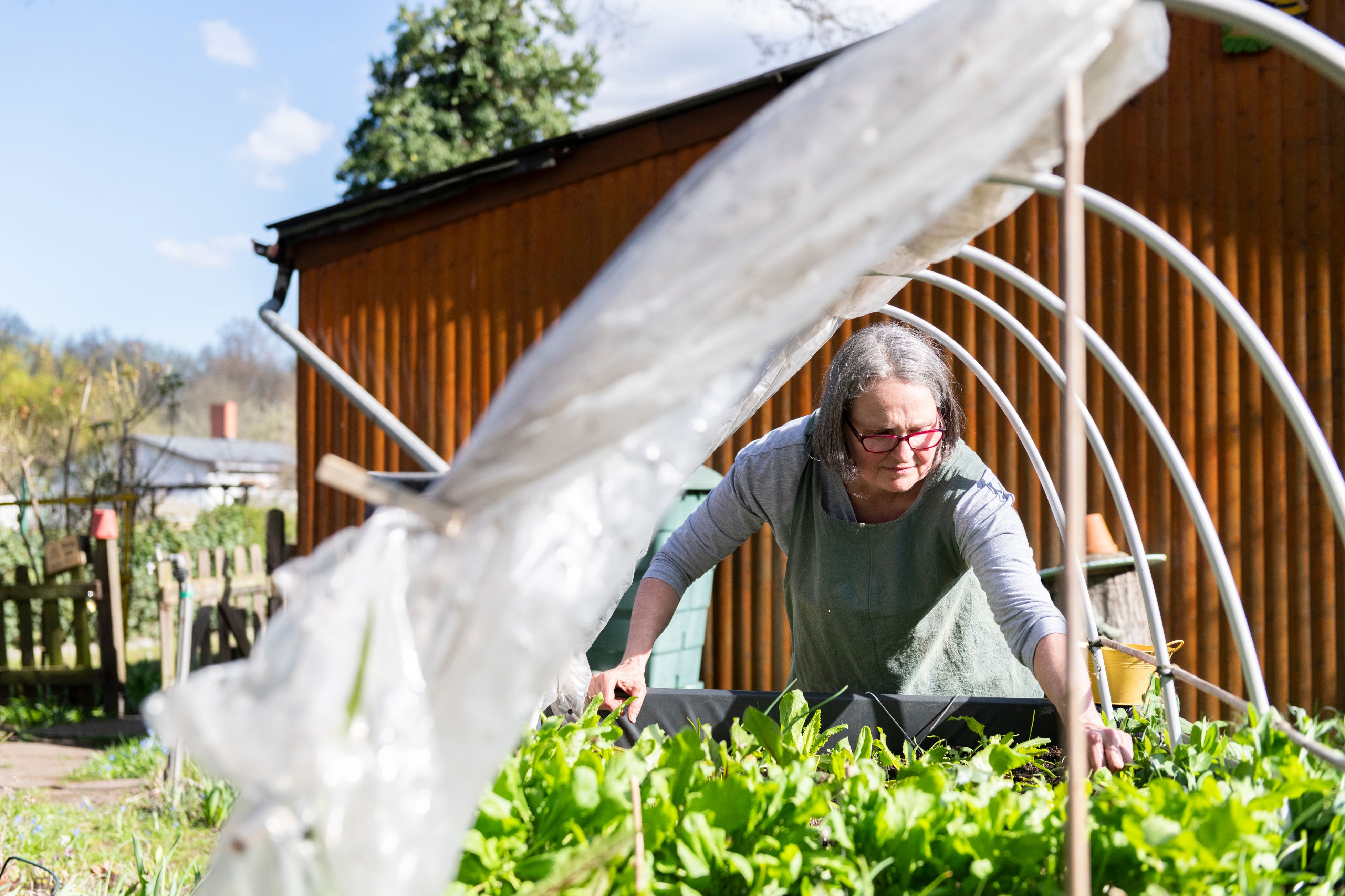 Die Welt der Berliner Kleingärten ist bedroht, vor allem von der akuten Wohnungsnot