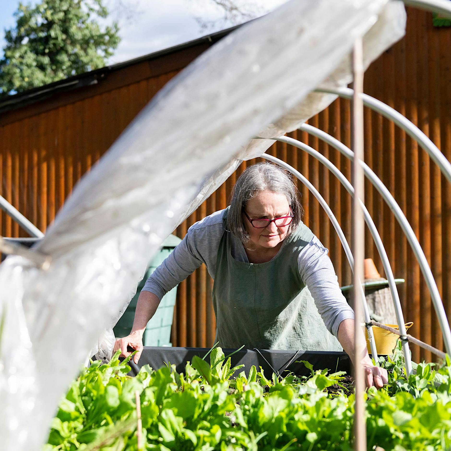 Die Welt der Berliner Kleingärten ist bedroht, vor allem von der akuten Wohnungsnot