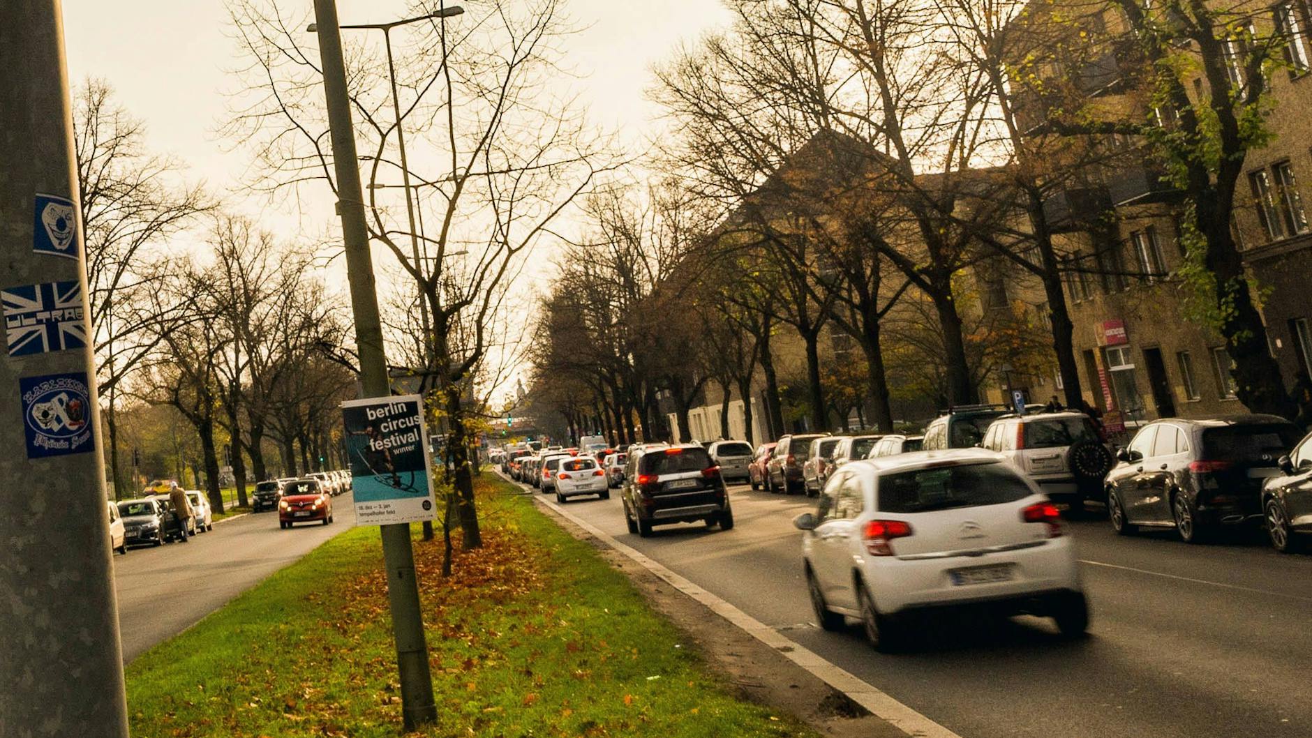 Diese Bäume auf dem Mittelstreifen des Tempelhofer Damms will der Senat fällen lassen.