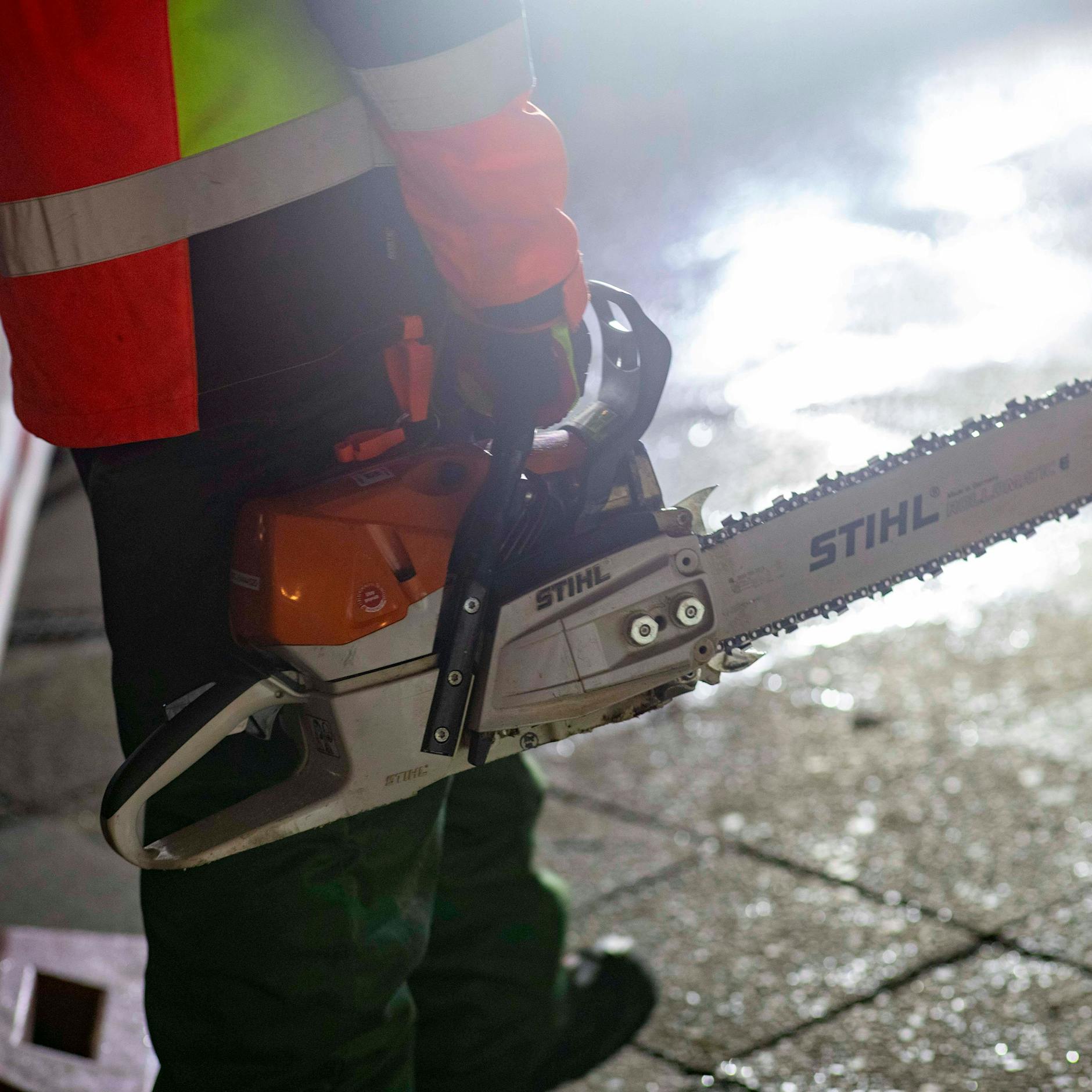 Baustellen-Zoff: Weil Senat keine Umleitung will, sollen 73 Bäume sterben