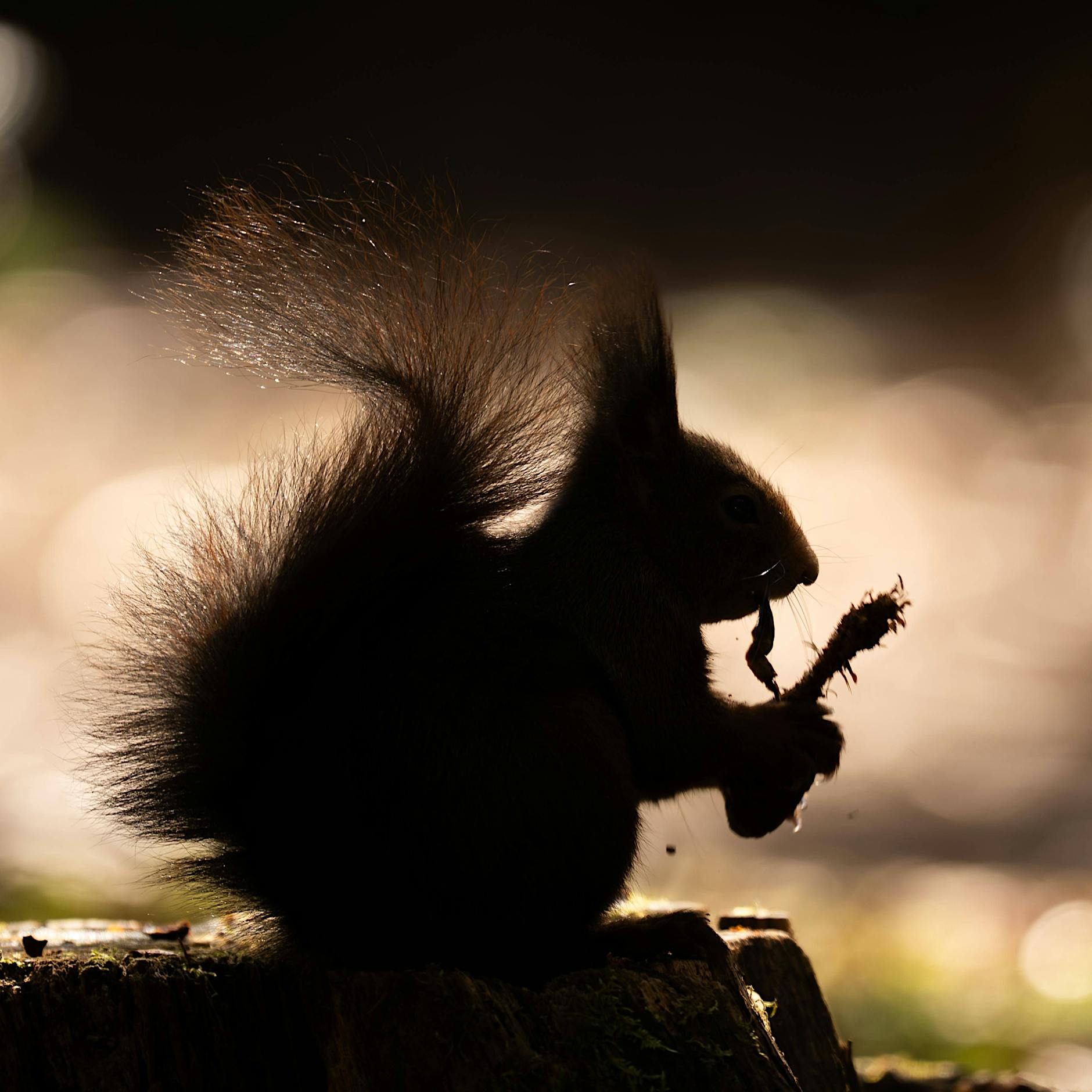Berlin: Wie ich meinen Pausenapfel auf dem Friedhof mit niedlichen Zombies teilte