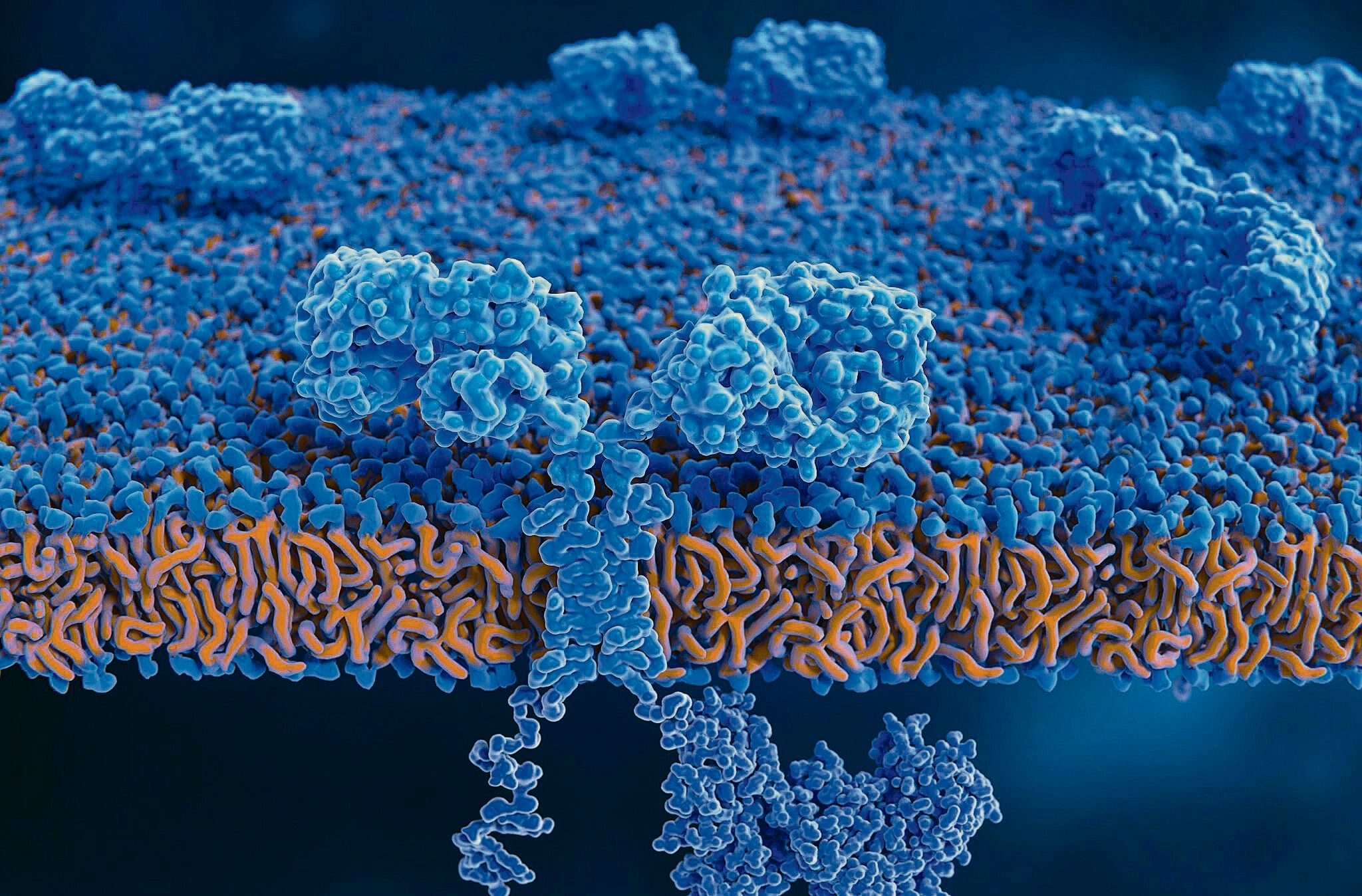 Kampf gegen Krebs: Wissenschaftlern aus Barcelona gelingt ein Durchbruch