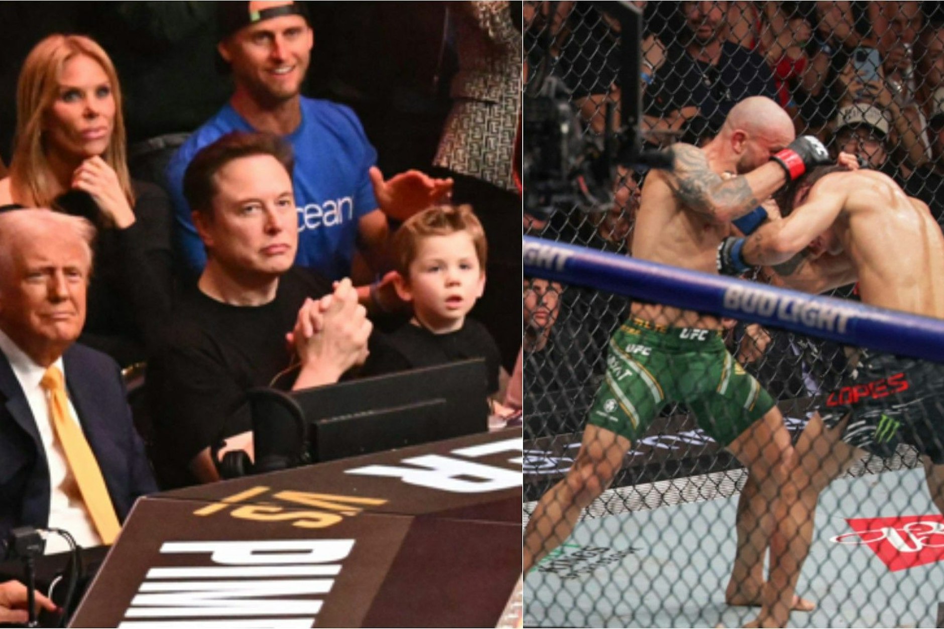 Donald Trump, Elon Musk und dessen vierjähriger Sohn Samstagnacht beim UFC-Kampf in Miami