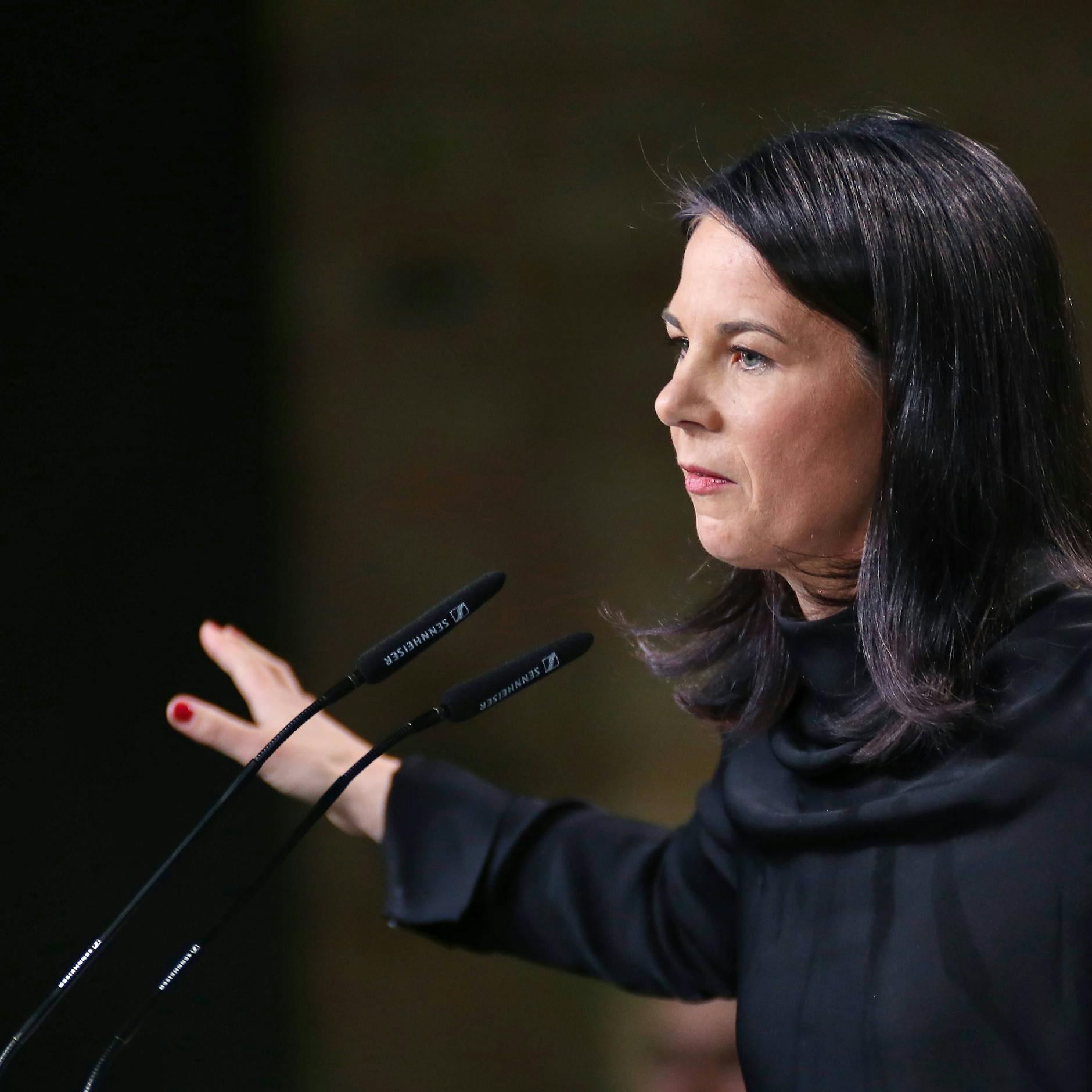 Image - Peter-Michael Diestel über Baerbock und Co.: „Ich habe Angst vor der uns umgebenden politischen Dummheit“