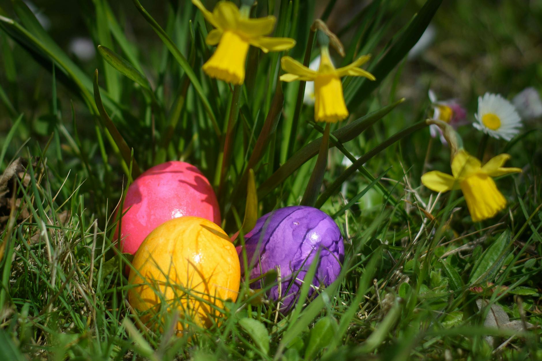 In Marzahn-Hellersdorf findet eine gemeinsame Ostereiersuche statt.