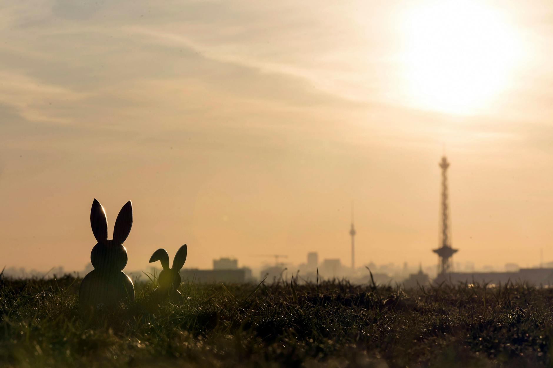 Sechs Kilometer, so lang ist eine Runde übers Tempelhofer Feld. Seit dem vergangenen Wochenende werden auf dem Feld wieder unterschiedliche Aktivitäten angeboten, darunter Gruppen-Fahrradtouren und Wildkräuter-Führungen.