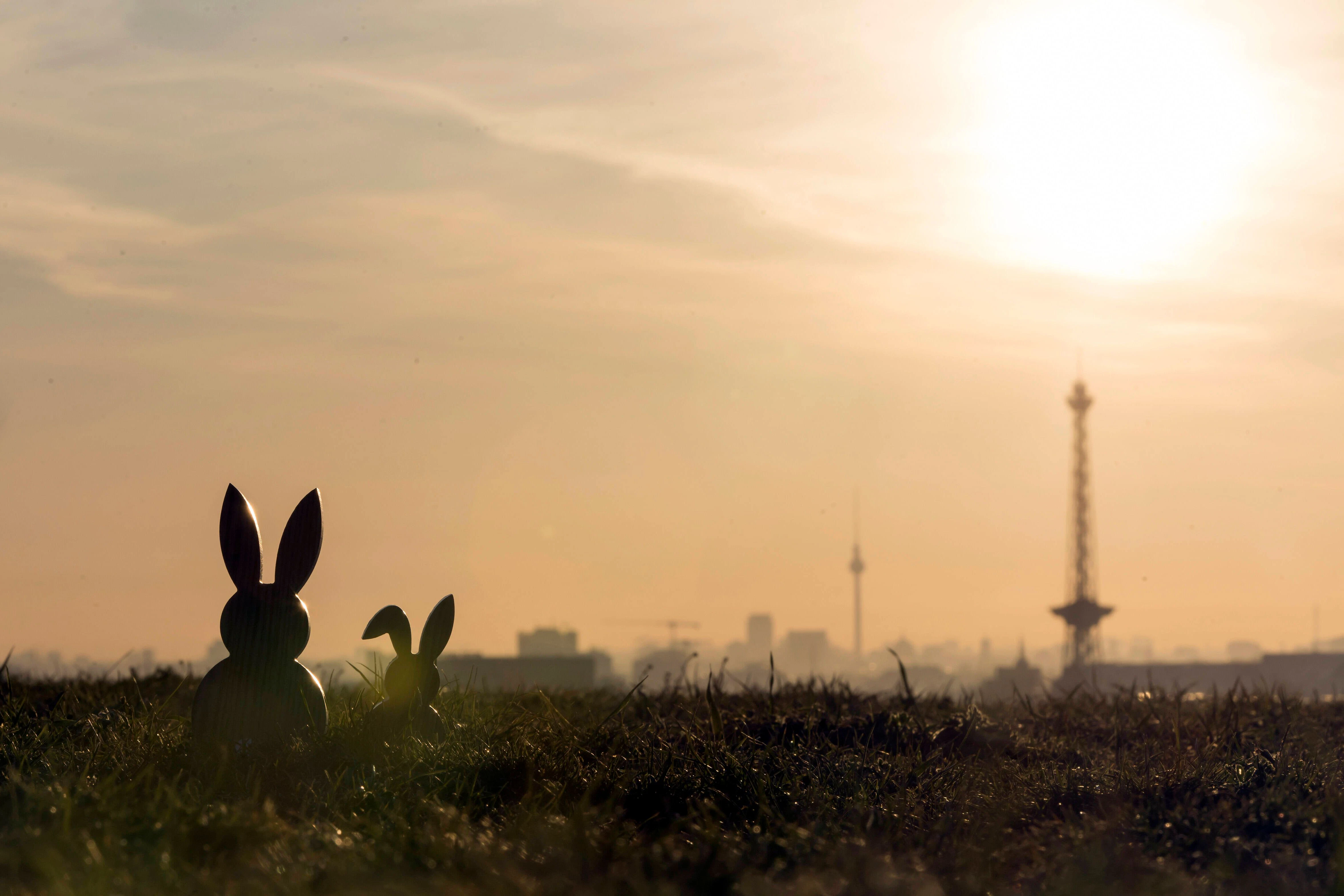 Sechs Kilometer, so lang ist eine Runde übers Tempelhofer Feld. Seit dem vergangenen Wochenende werden auf dem Feld wieder unterschiedliche Aktivitäten angeboten, darunter Gruppen-Fahrradtouren und Wildkräuter-Führungen.