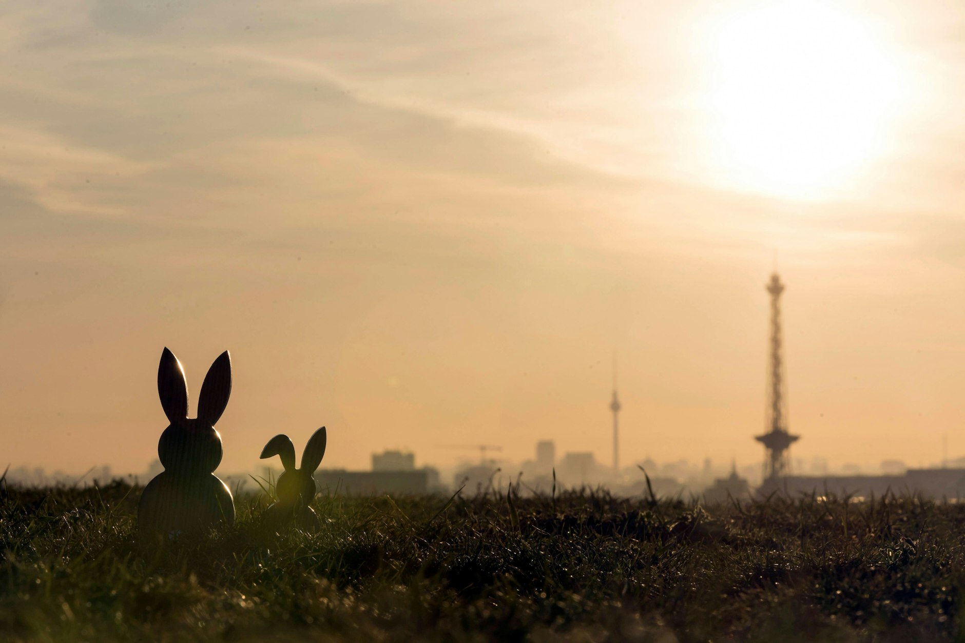 Sechs Kilometer, so lang ist eine Runde übers Tempelhofer Feld. Seit dem vergangenen Wochenende werden auf dem Feld wieder unterschiedliche Aktivitäten angeboten, darunter Gruppen-Fahrradtouren und Wildkräuter-Führungen.
