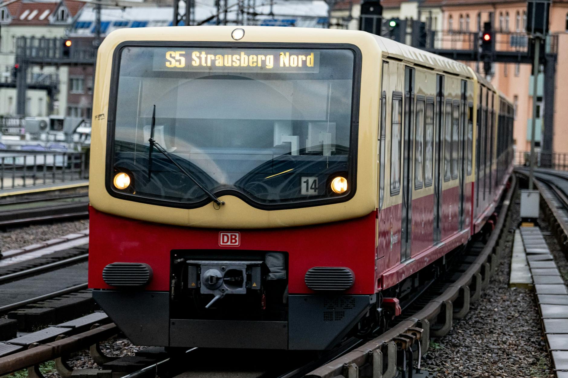 „Doch dann blieb er ausgerechnet vor mir stehen – fixierte mich mit seinem irren Blick. Mir rutschte das Herz in die Hose.“