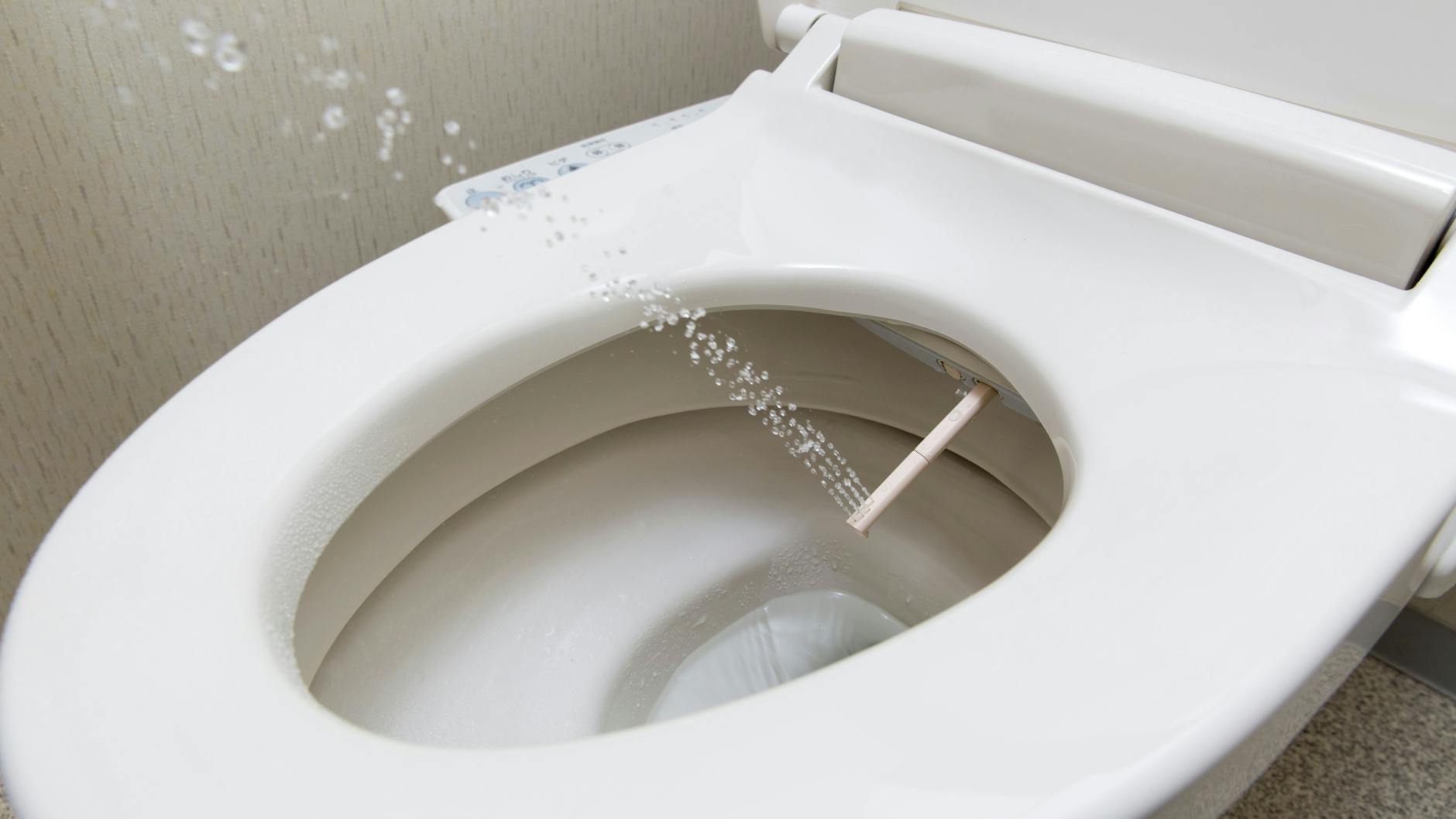 Solche Dusch-WCs – auch Washlet genannt – mit einer integrierten Wasserdüse sind vor allem in Japan und Südkorea verbreitet.