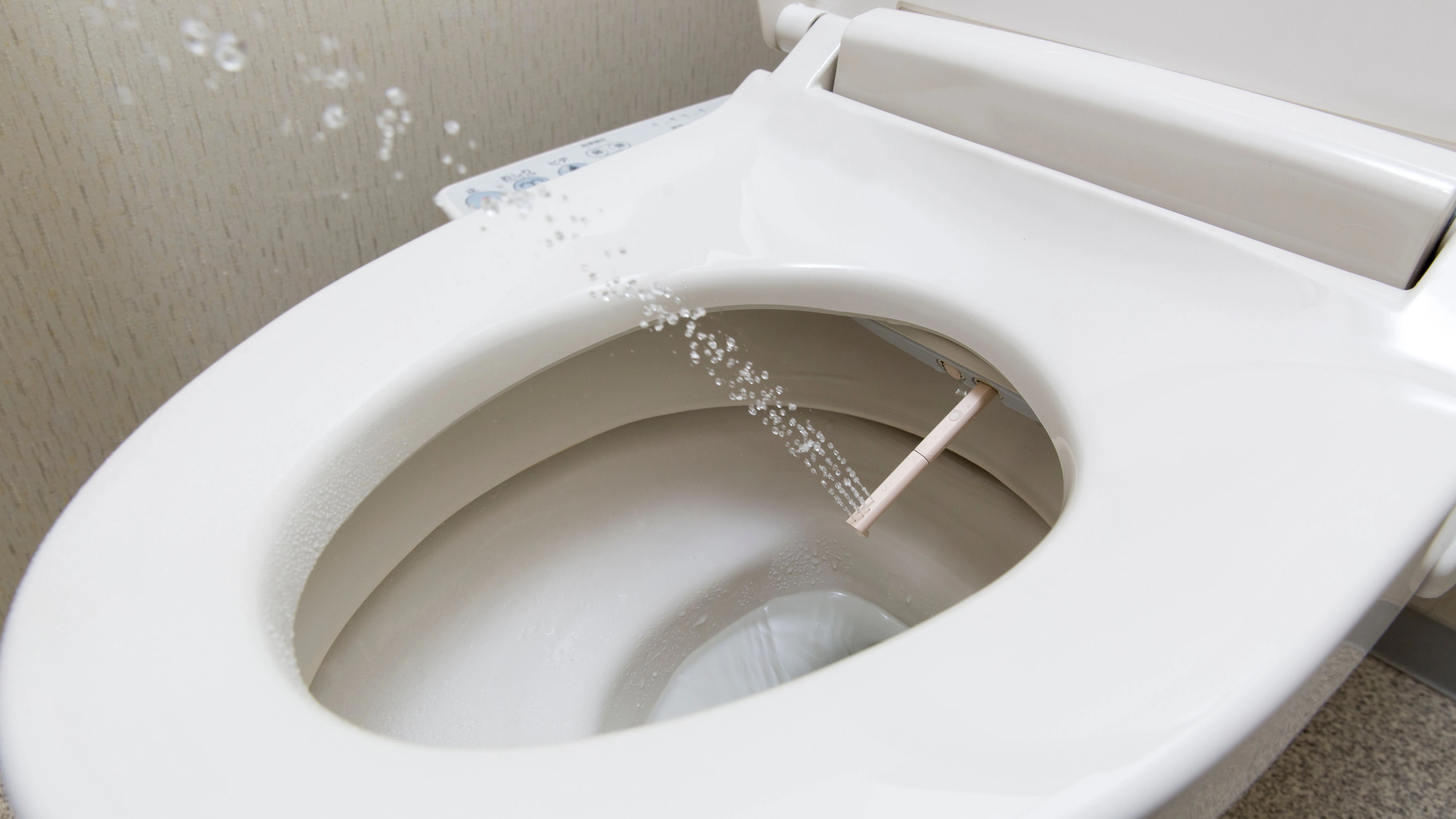 Solche Dusch-WCs – auch Washlet genannt – mit einer integrierten Wasserdüse sind vor allem in Japan und Südkorea verbreitet.