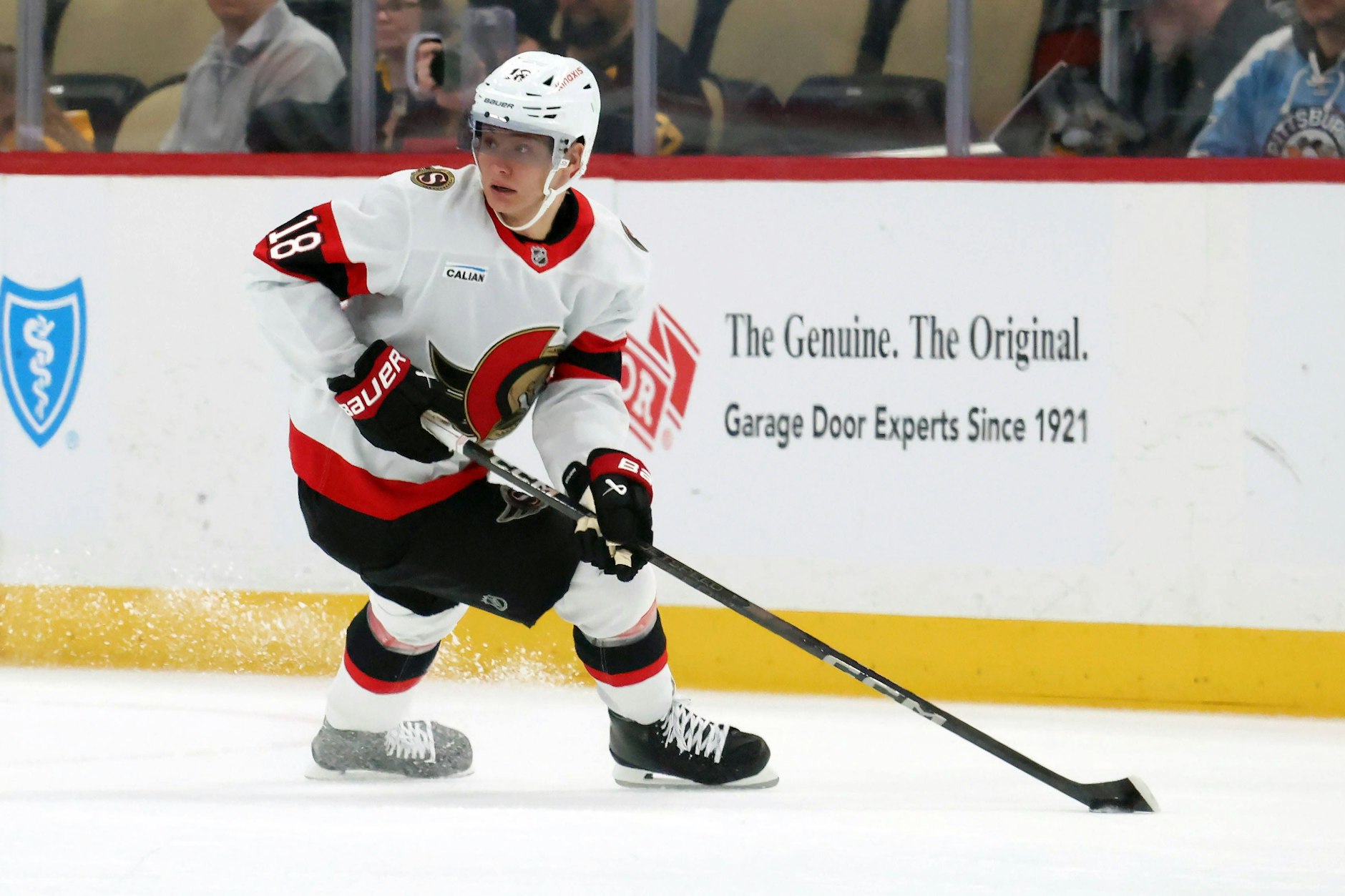 Tim Stützle kurvt über das Eis in der NHL. Als Steppke in Krefeld wurde ihm die Abneigung gegen Köln schon früh mitgegeben.