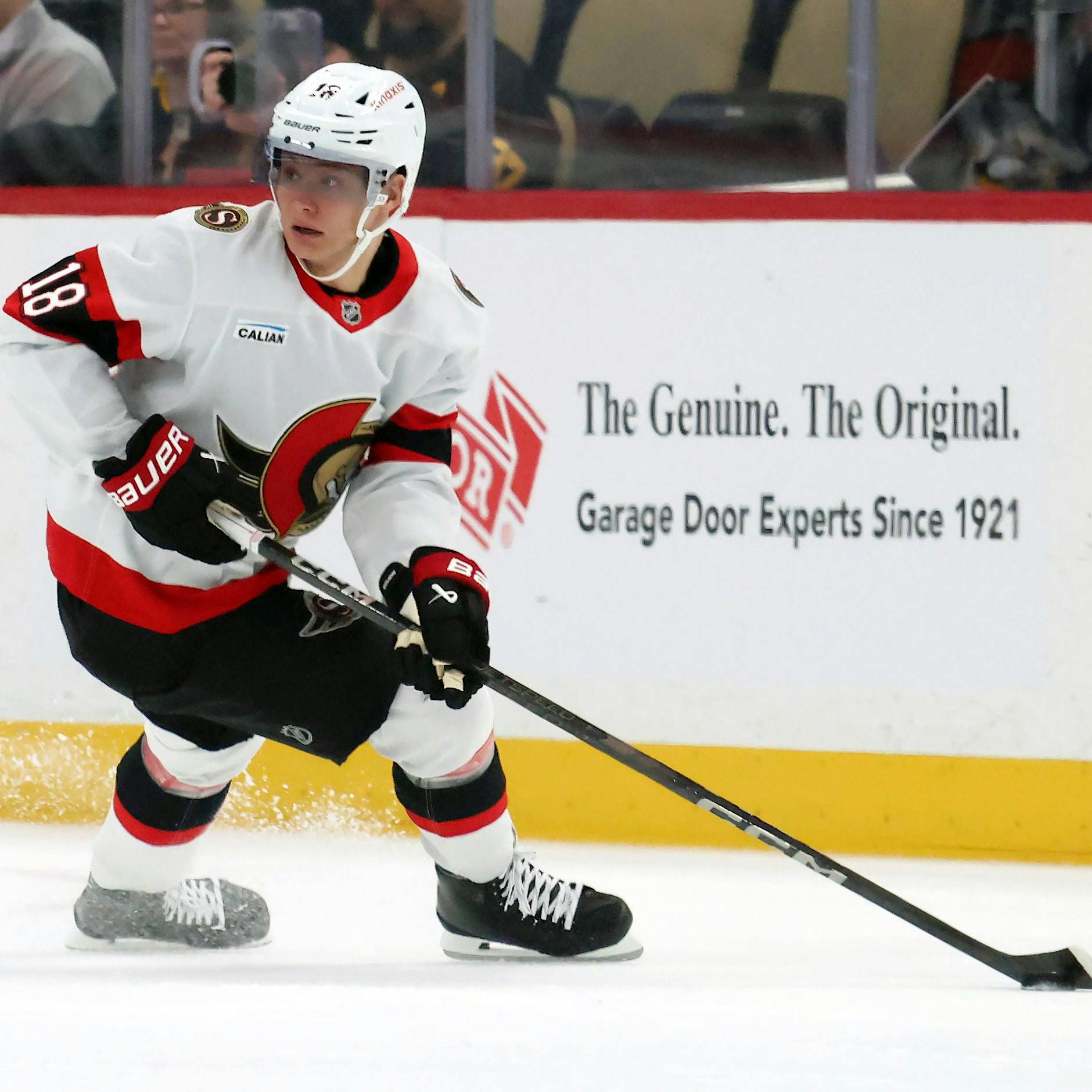 Promi-Eisbären-Fan stellt klar: „Ich habe Köln immer gehasst“